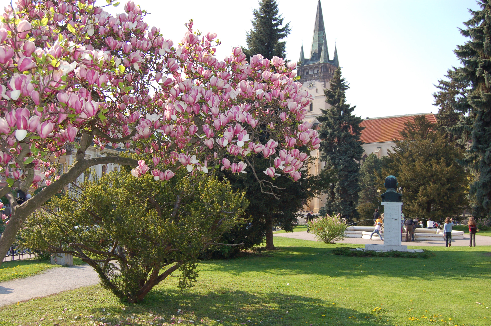 Nikon D50 sample photo. Spring in prešov photography