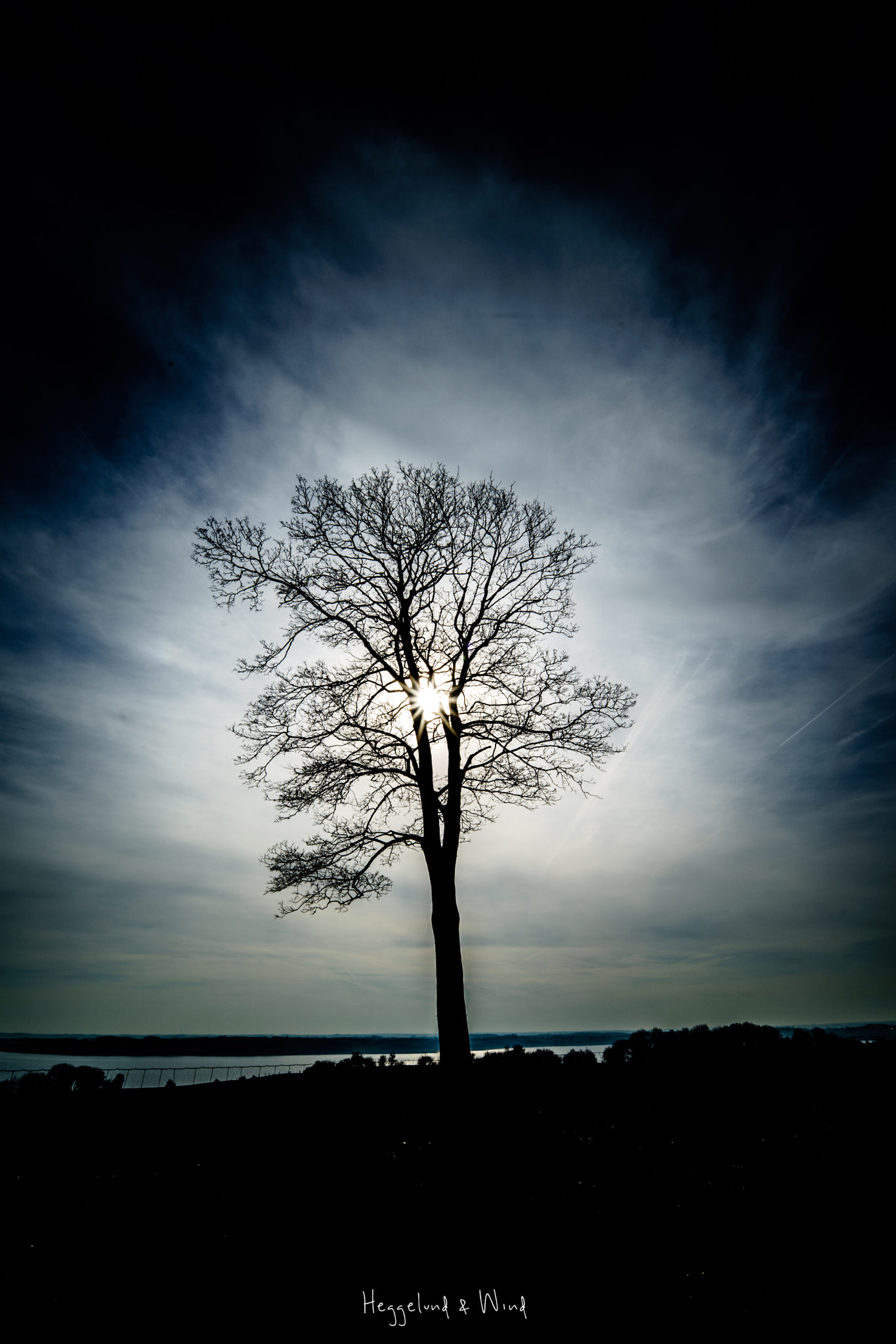 Samyang AF 14mm F2.8 FE sample photo. Through photography
