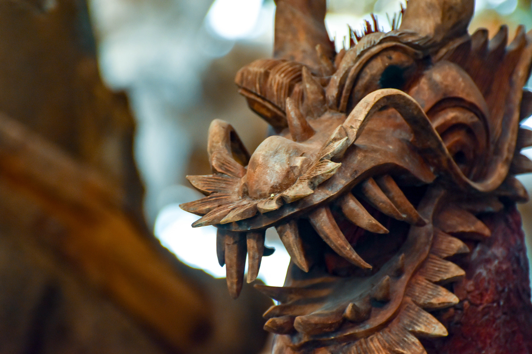 Nikon D7200 sample photo. Wooden dragon photography