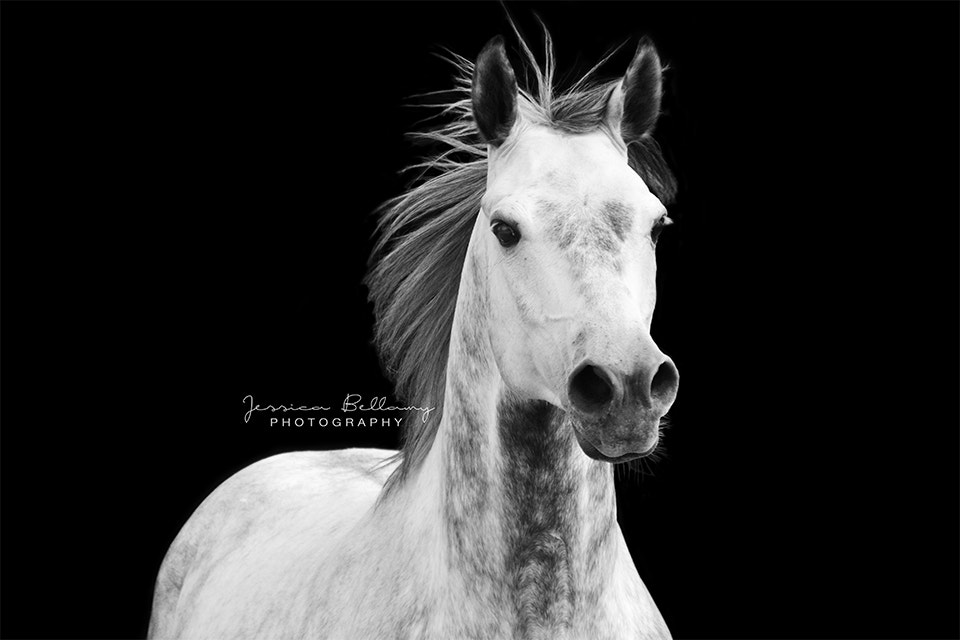 Nikon D3100 sample photo. Borat black and white photography