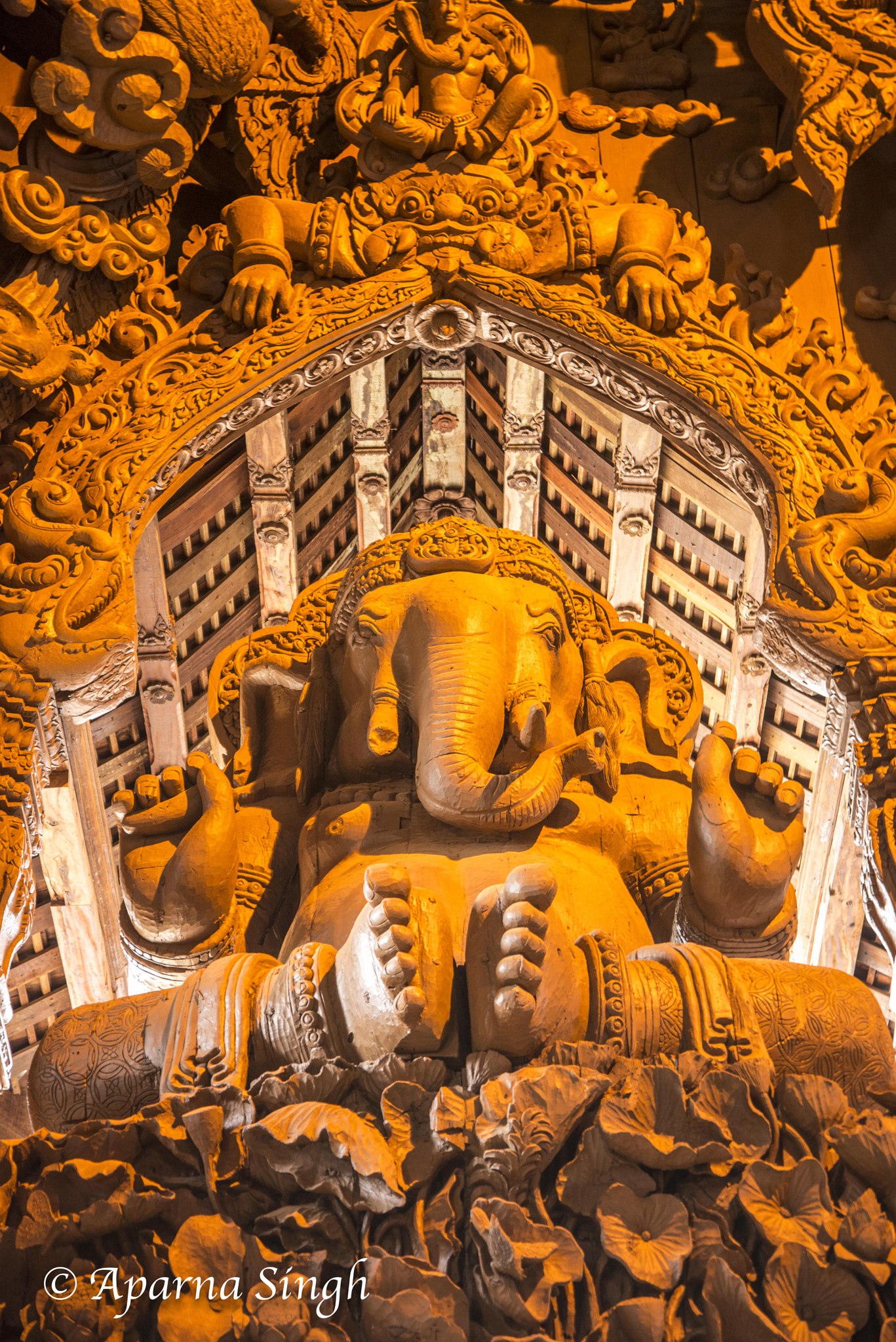 Nikon D800 sample photo. Ganesha photography
