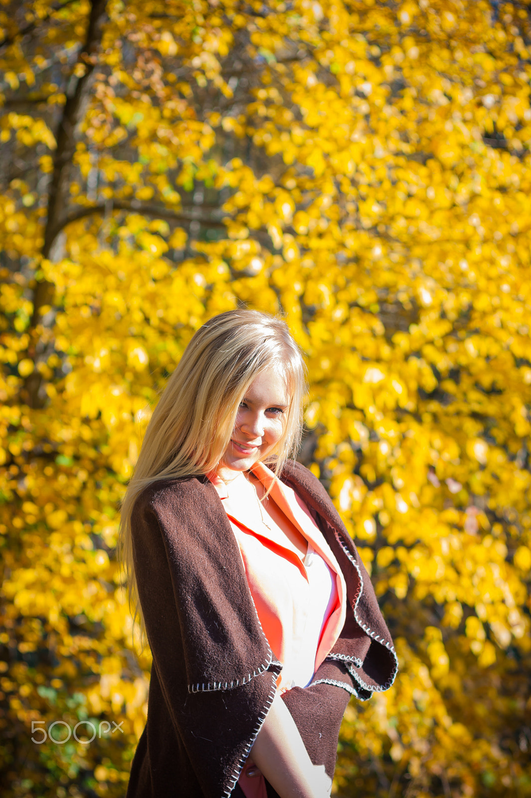 Canon EF 50mm F1.8 II sample photo. Осенние краски photography