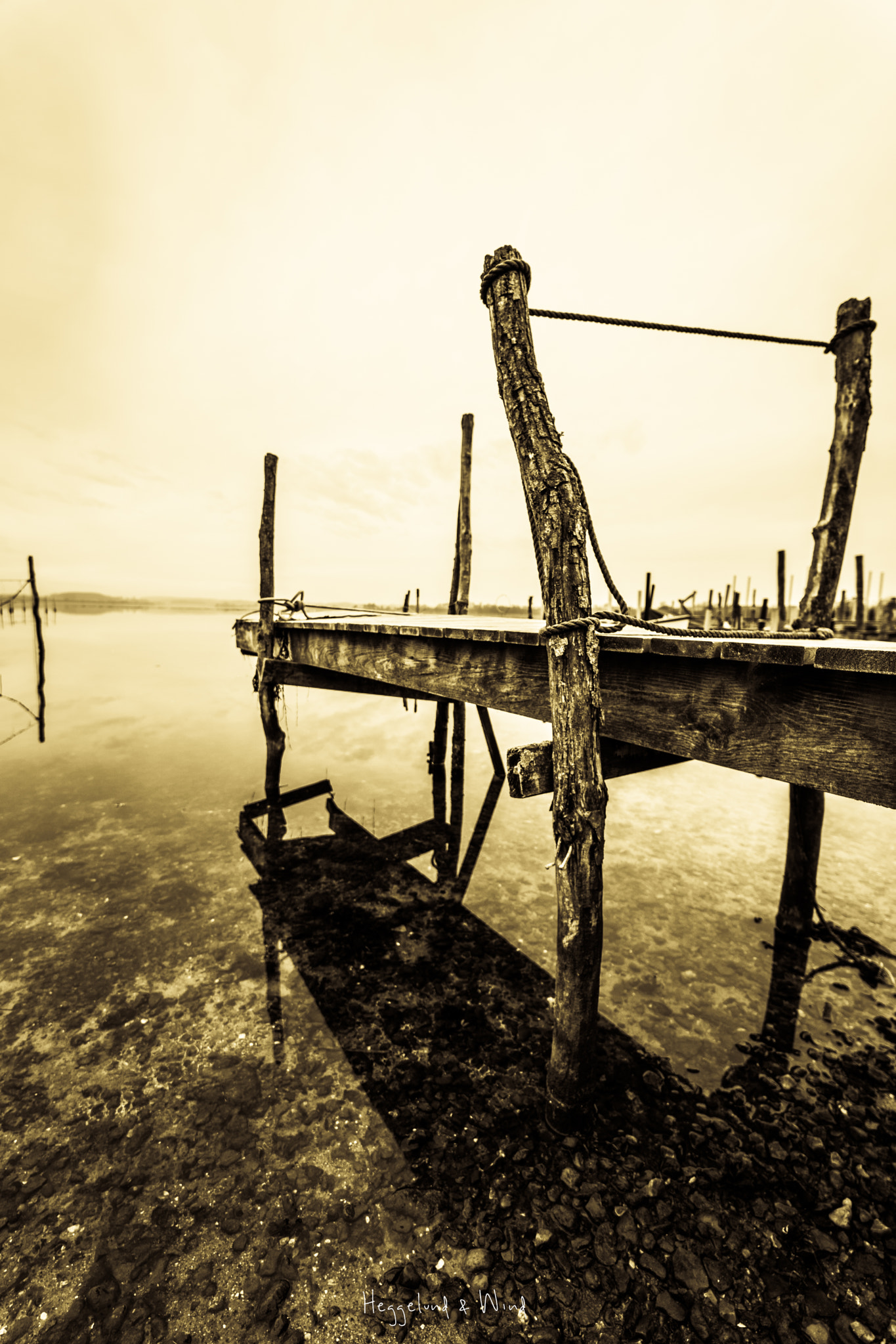 Samyang AF 14mm F2.8 FE sample photo. Above and below photography