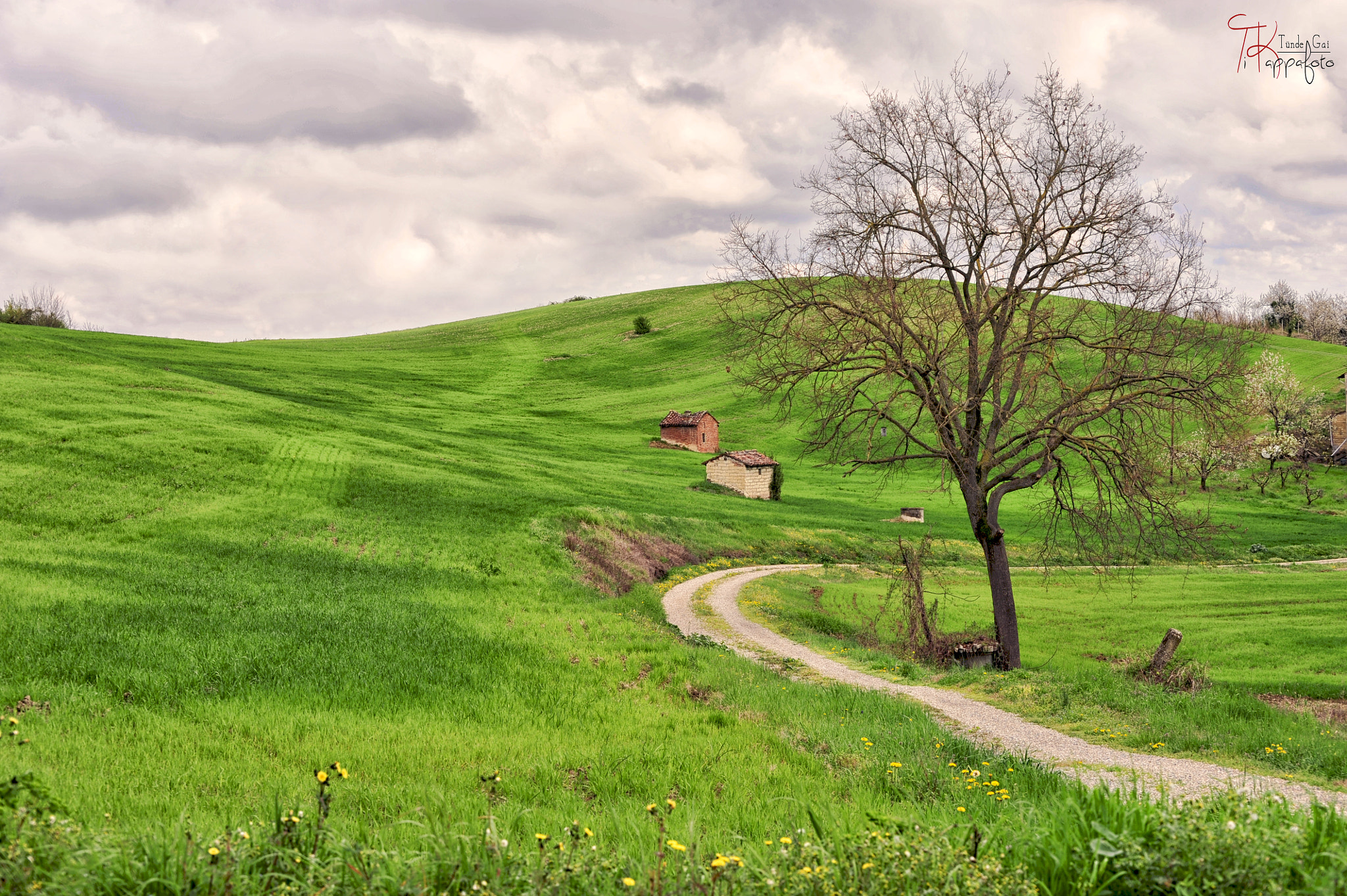 Nikon D700 sample photo. Shapes and colors of monferrato photography