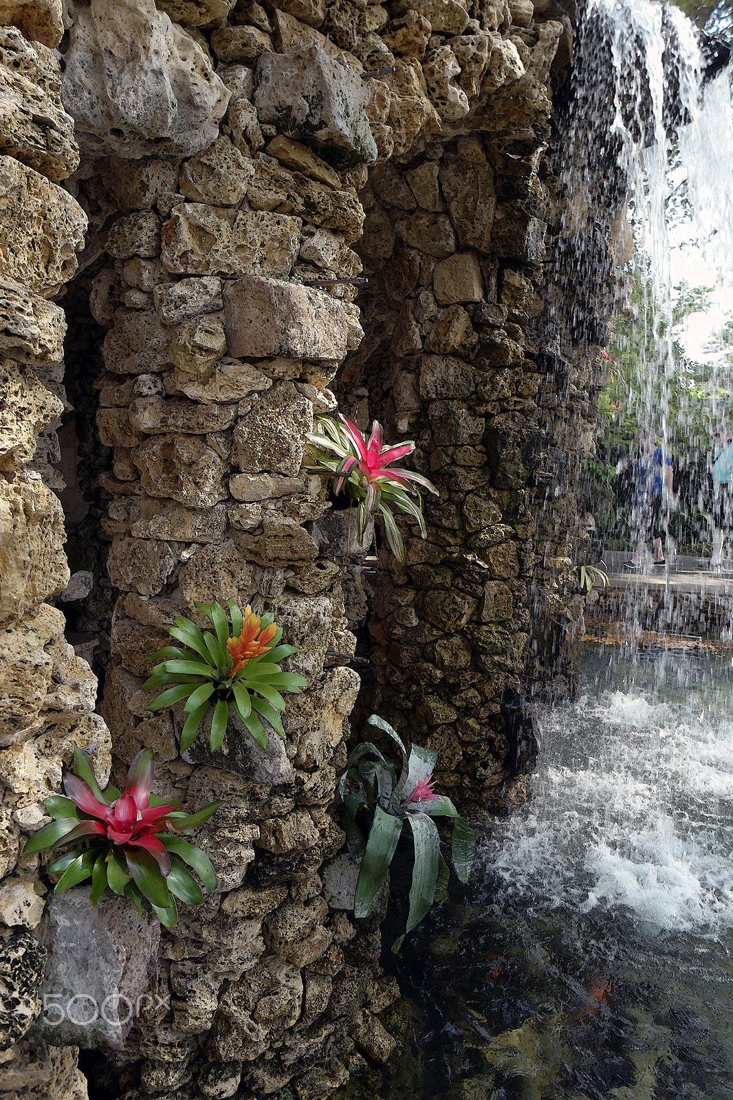 Samsung NX 16-50mm F3.5-5.6 Power Zoom ED OIS sample photo. A bit of maui in dallas photography