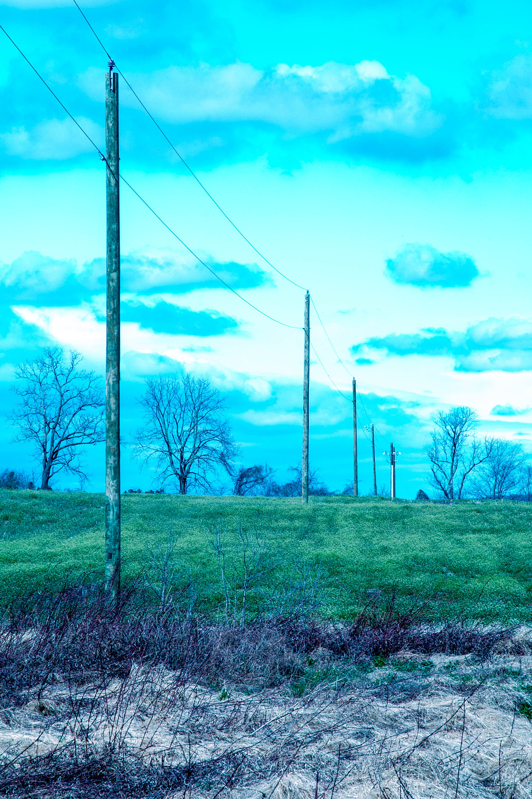 Canon EOS 70D sample photo. Field and wires. photography