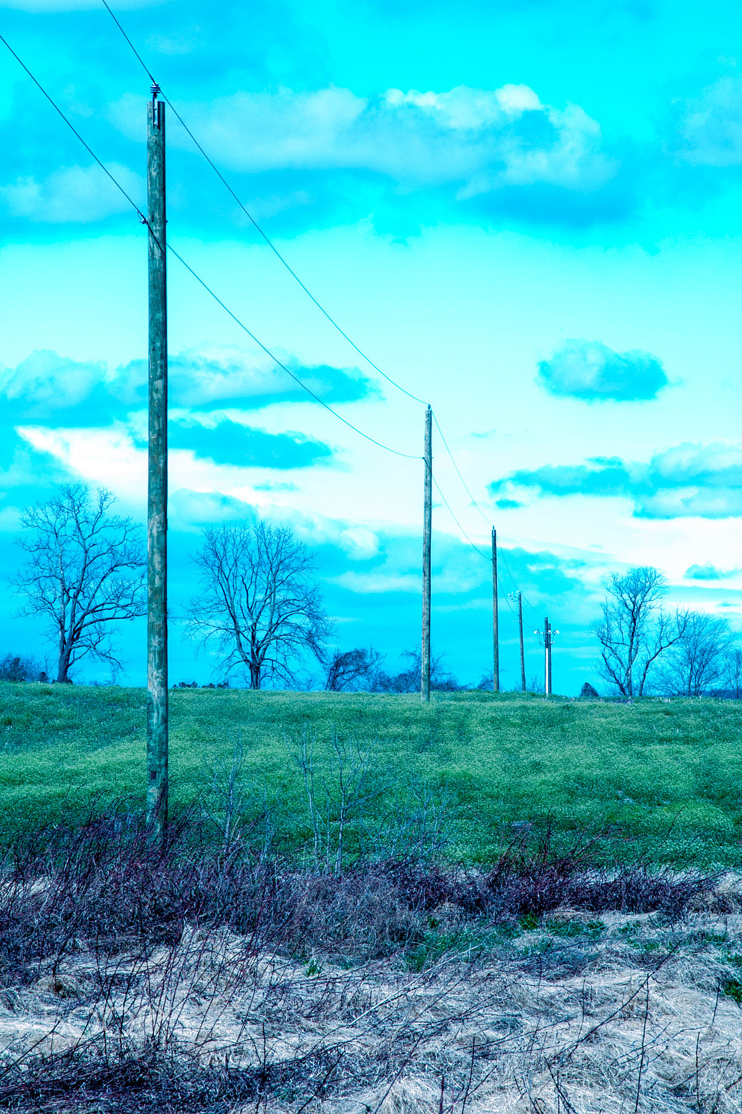 Canon EF-S 17-85mm F4-5.6 IS USM sample photo. Field and wires. photography