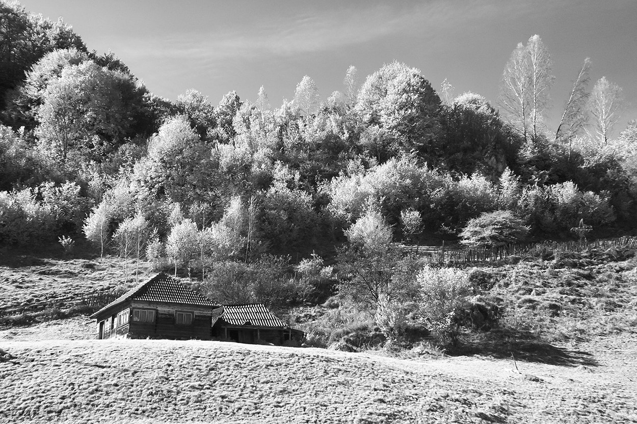 Sigma SD15 sample photo. Countryside in infrared 4 photography