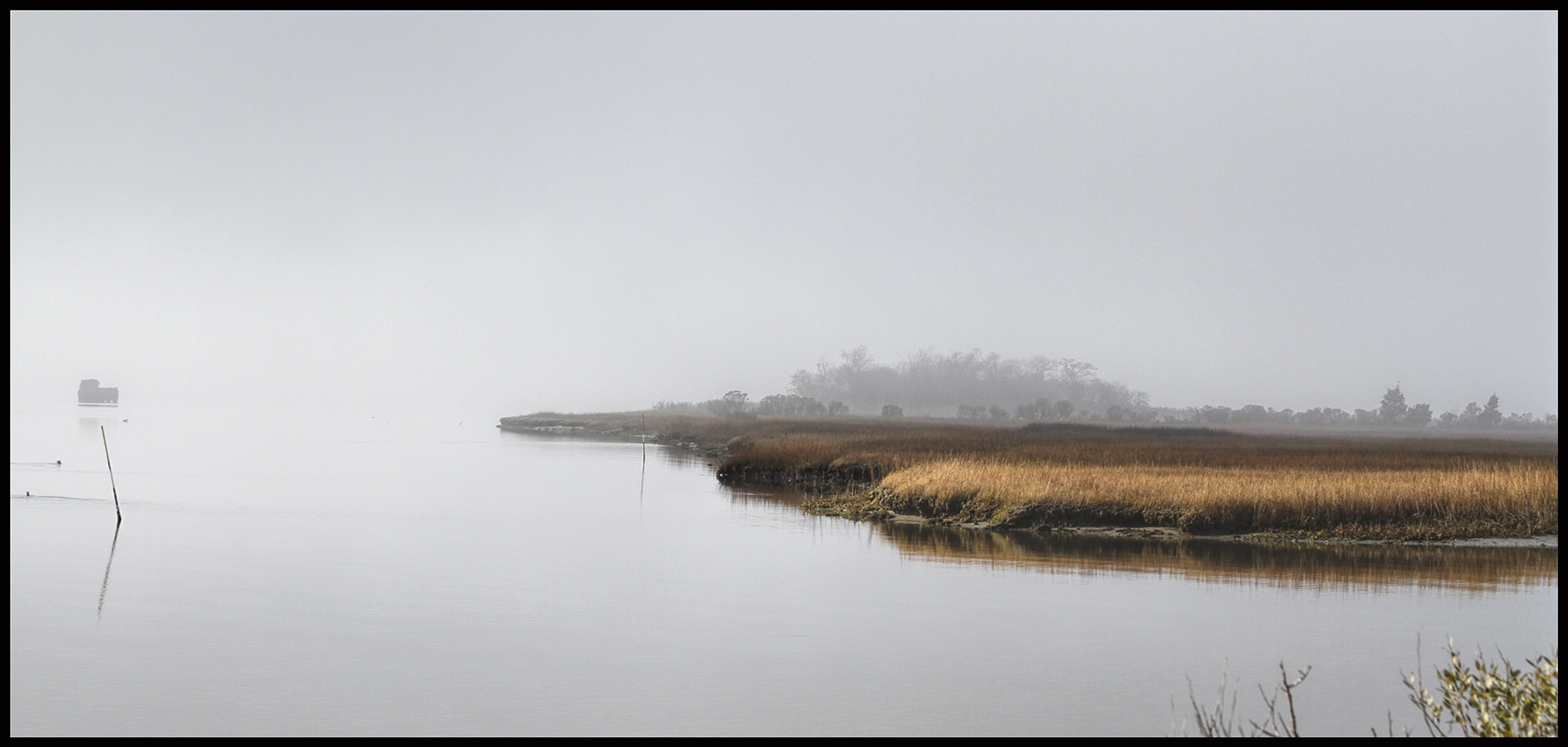 Canon EOS 7D + Canon EF 28-135mm F3.5-5.6 IS USM sample photo. The duck blind photography