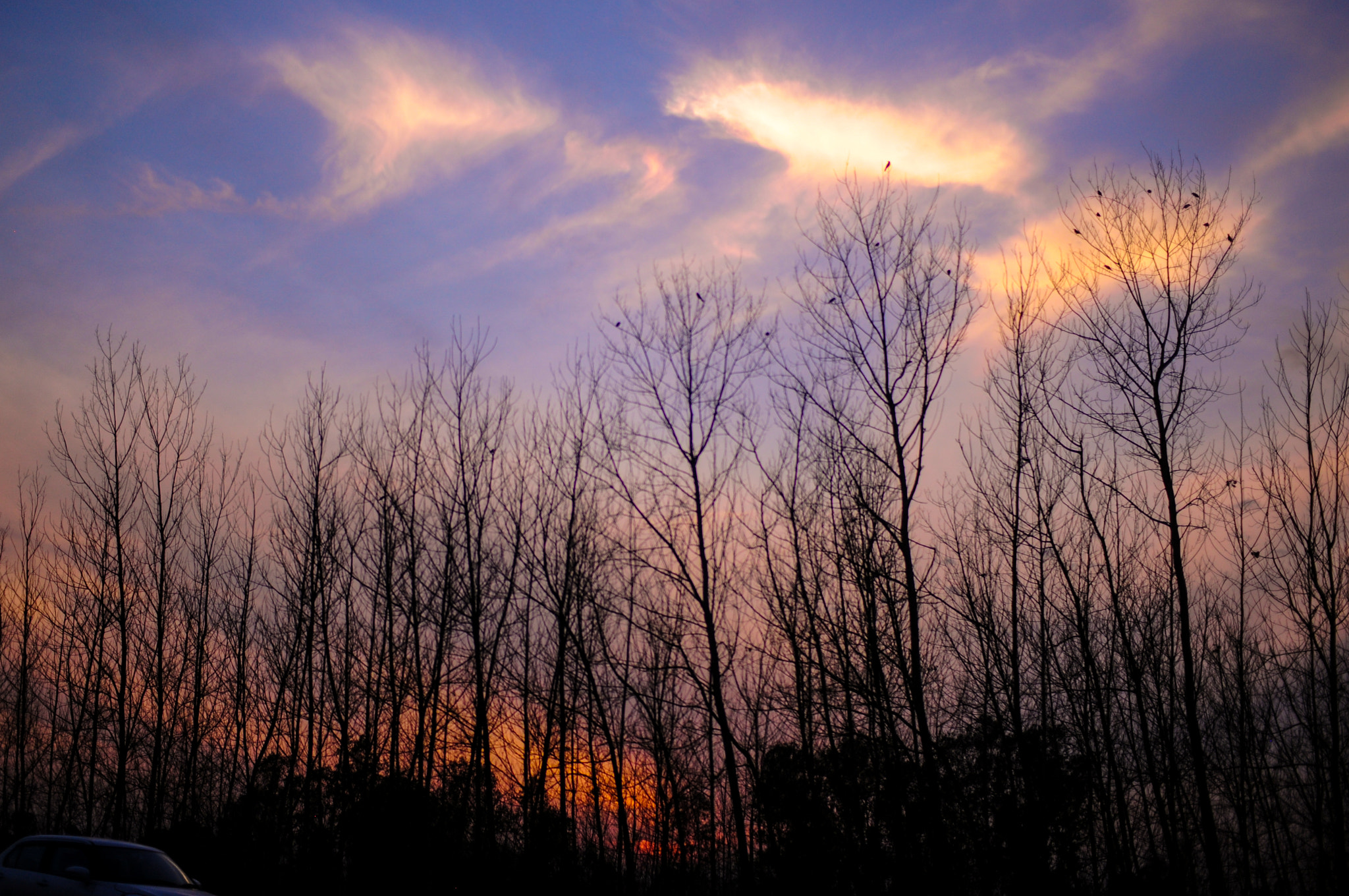 Nikon D300 sample photo. Cloud porn 2 photography