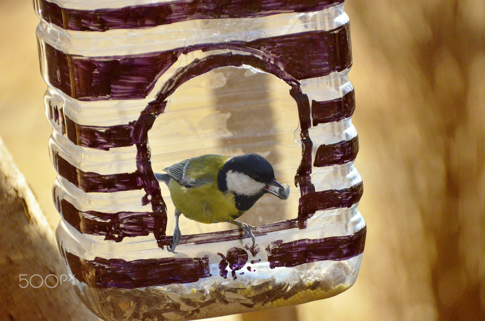 Sigma 18-250mm F3.5-6.3 DC Macro OS HSM sample photo. Photos from park photography