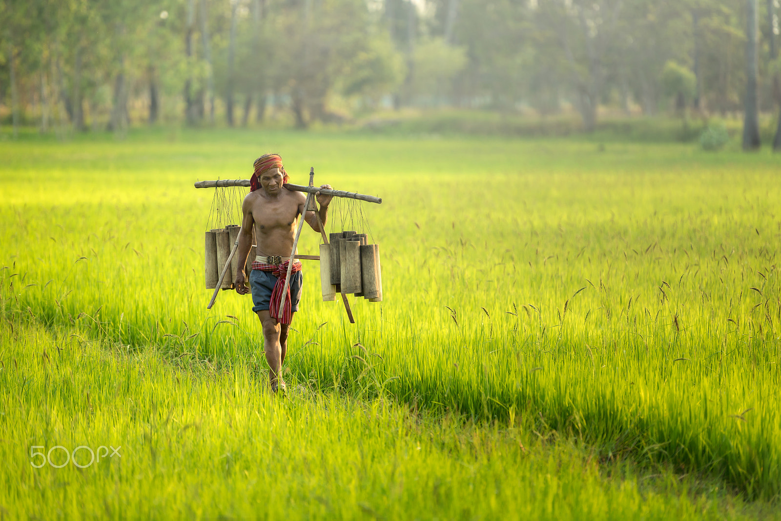 Nikon AF-S Nikkor 70-200mm F2.8G ED VR II sample photo. Rural workers in asia photography