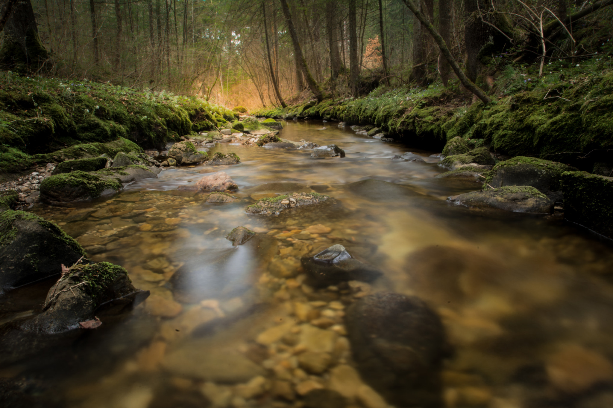 Nikon D7100 sample photo. Flow photography