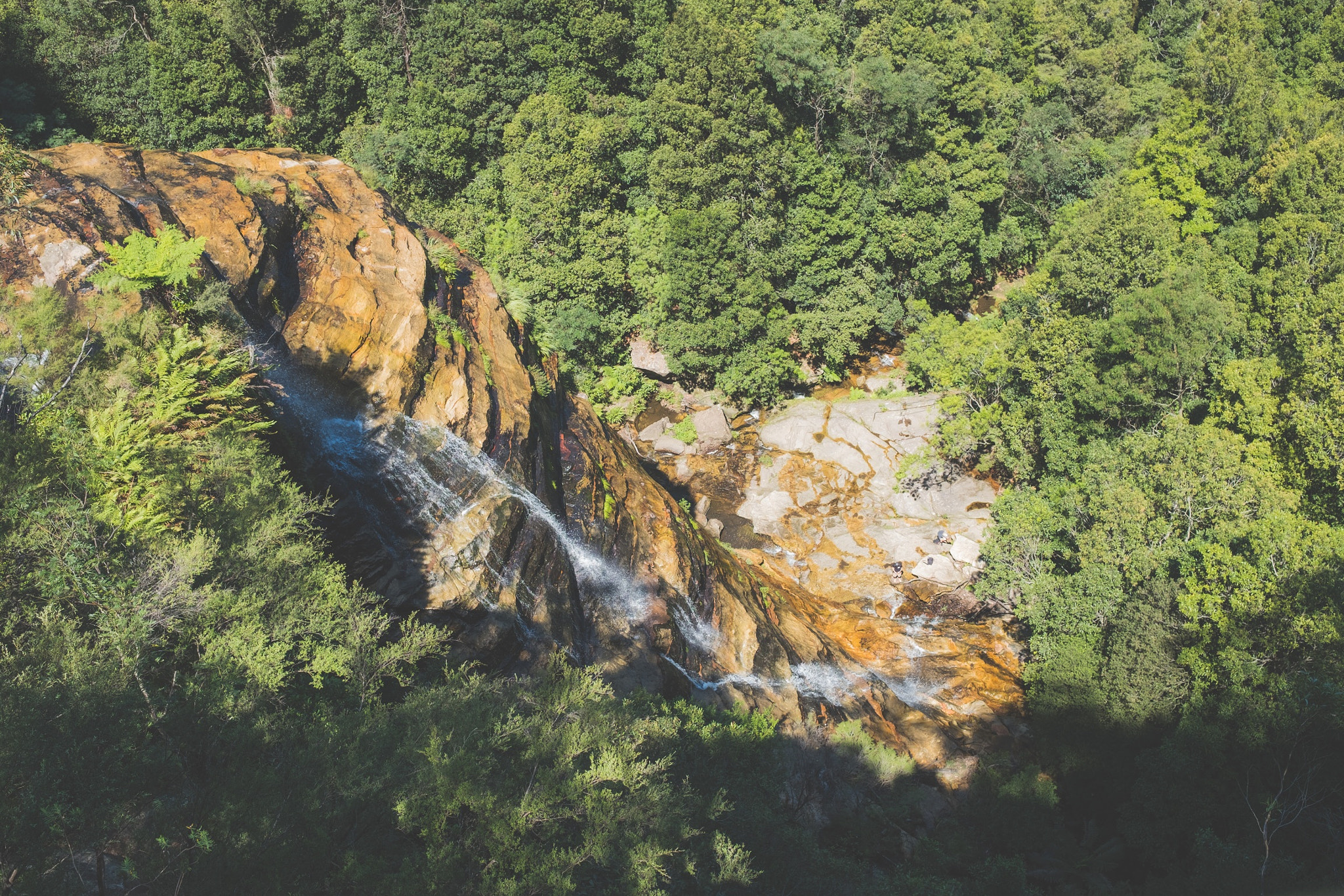 Fujifilm XF 23mm F1.4 R sample photo. Blue mountains, laura falls photography