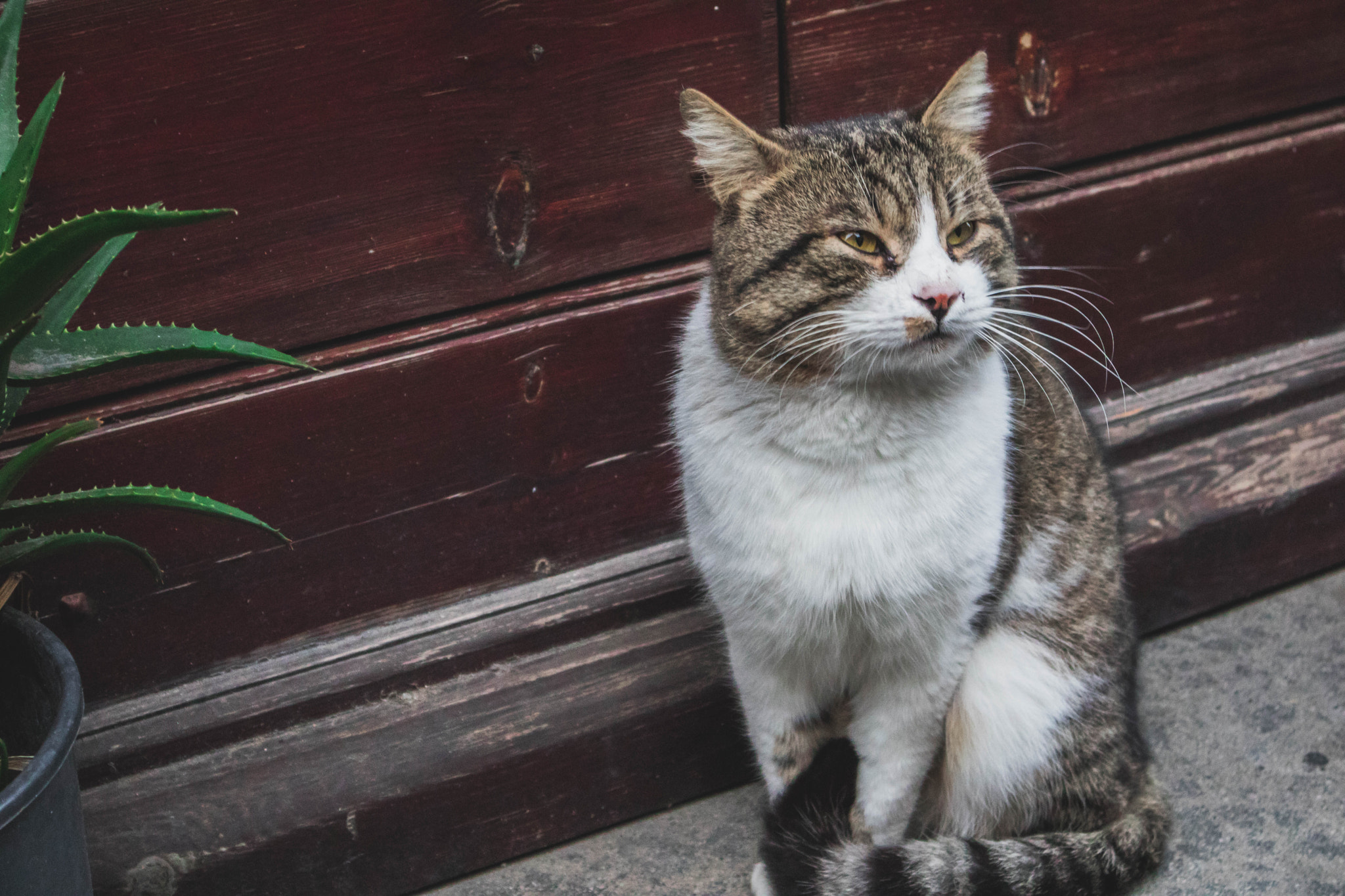 Canon EOS M3 sample photo