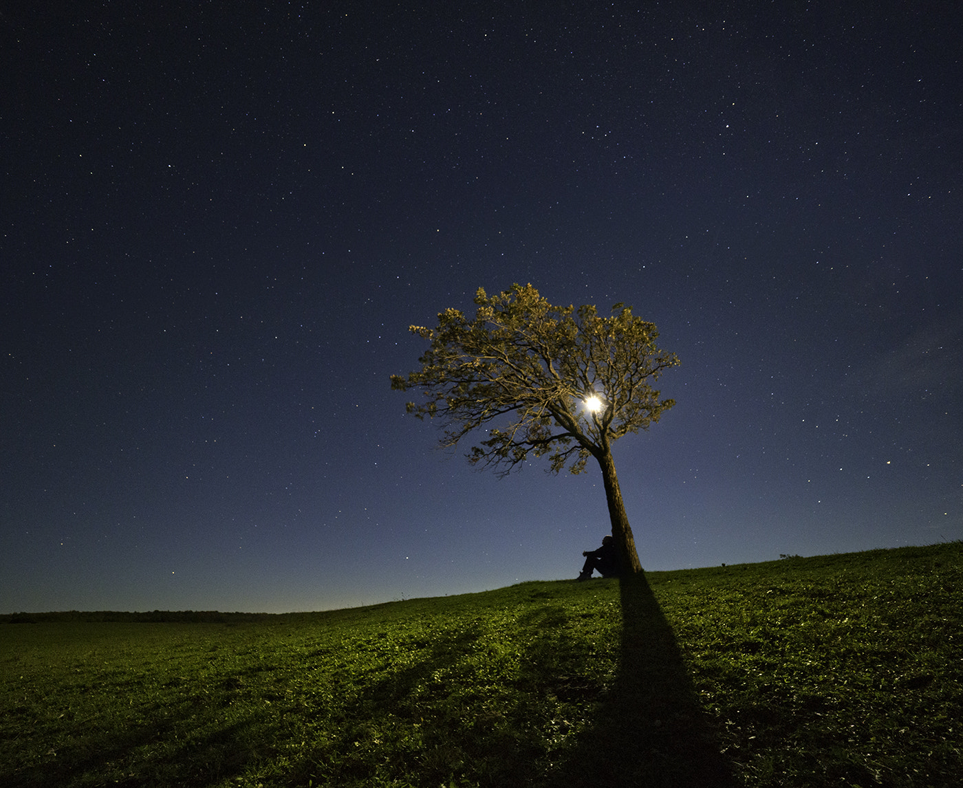 Olympus M.Zuiko Digital ED 7-14mm F2.8 PRO sample photo. Contemplating the meaning of life photography