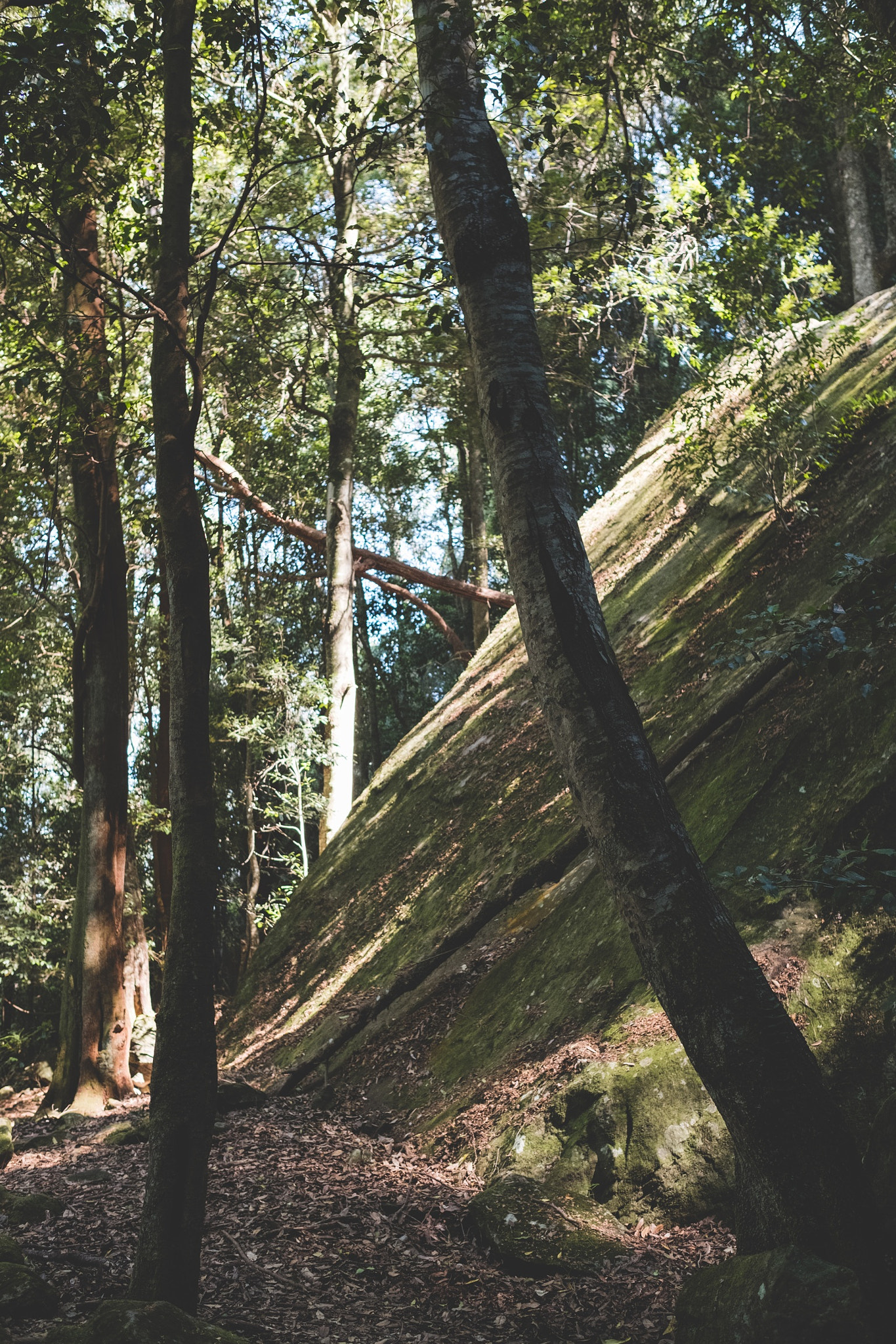 Fujifilm XF 23mm F1.4 R sample photo. Down in the valley photography