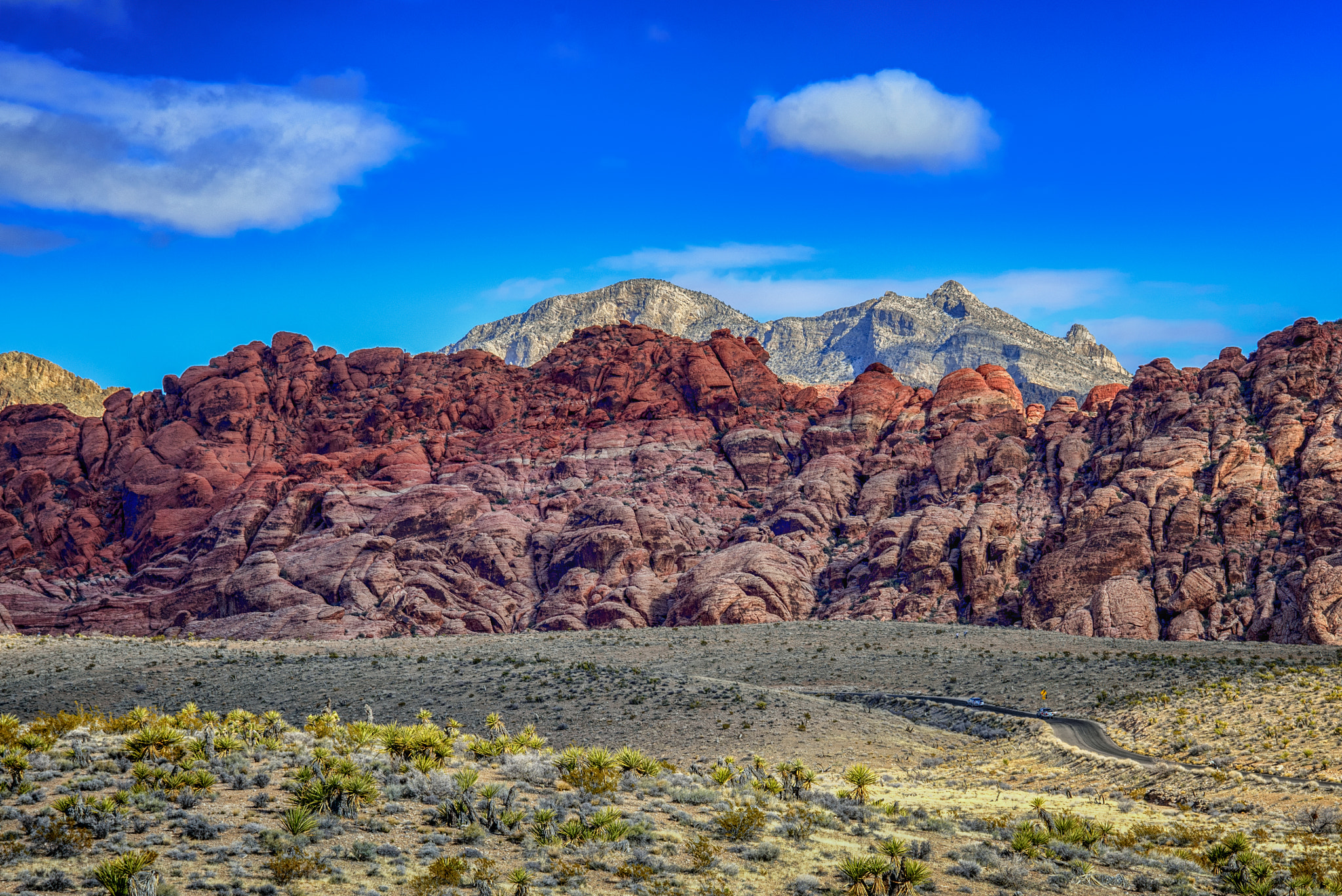 Nikon D600 sample photo. Road to rocks photography