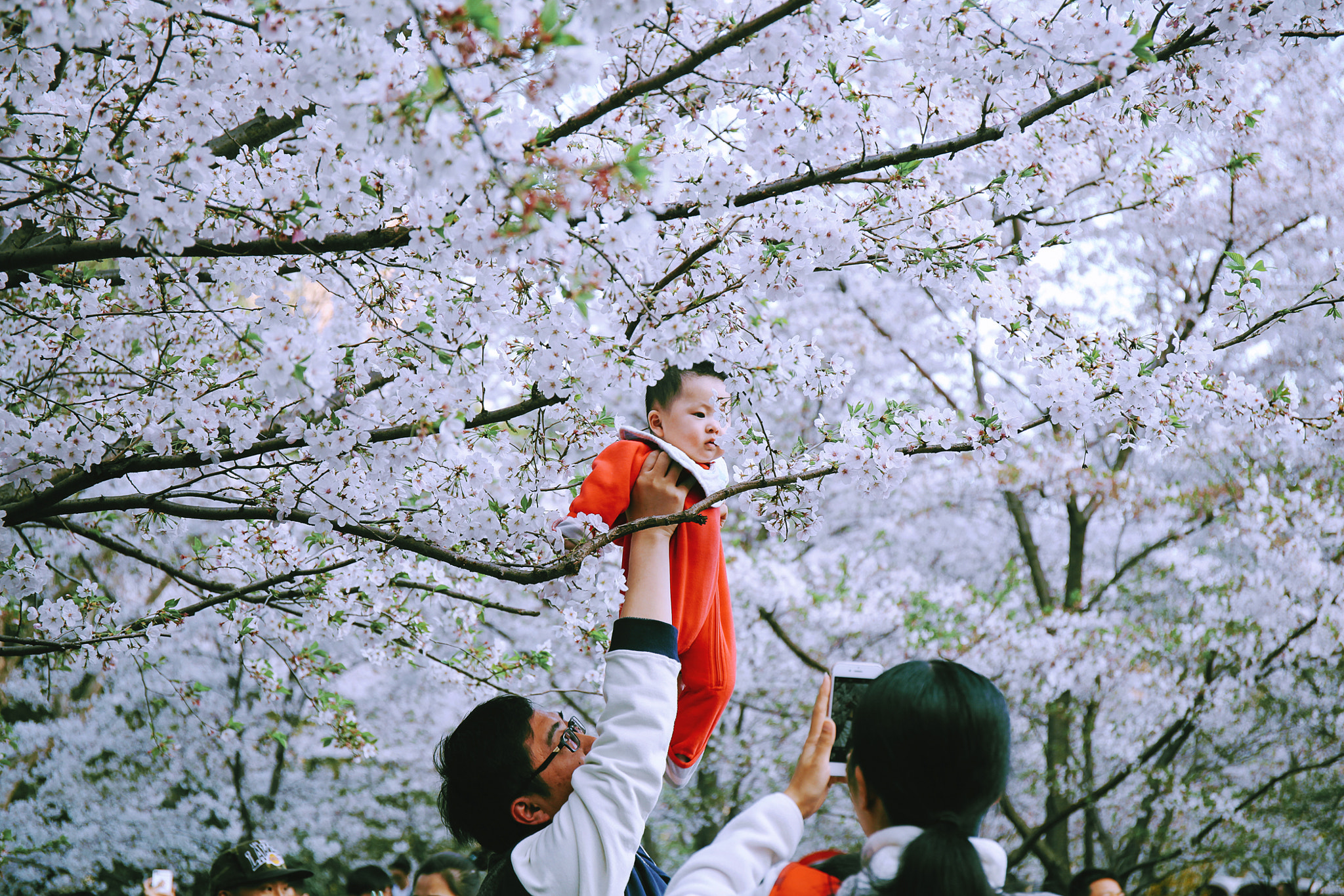Canon EF 24-70mm F4L IS USM sample photo. Take a photo ;) photography