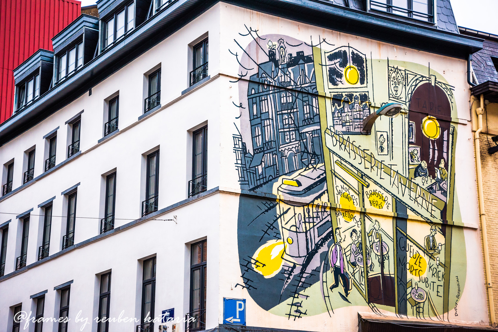 Nikon D810 sample photo. Brussels street art photography