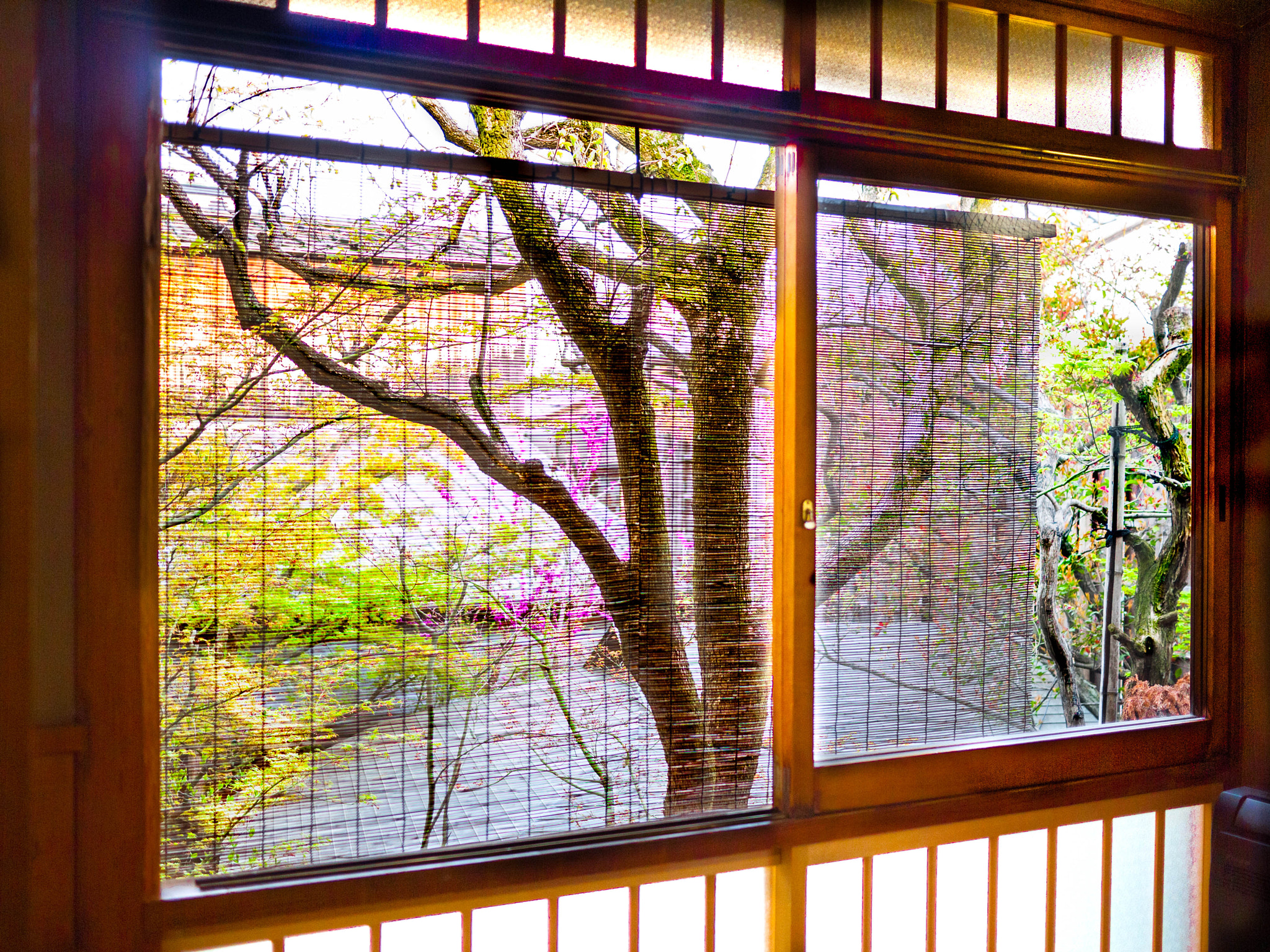 Panasonic Lumix G 20mm F1.7 ASPH sample photo. Kyoto hotel photography