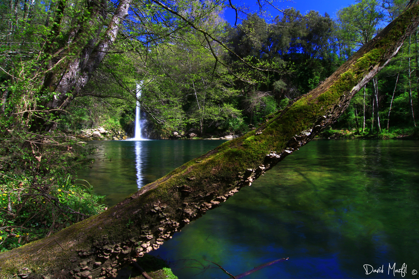 Tokina AT-X Pro 12-24mm F4 (IF) DX sample photo. La garrotxa photography