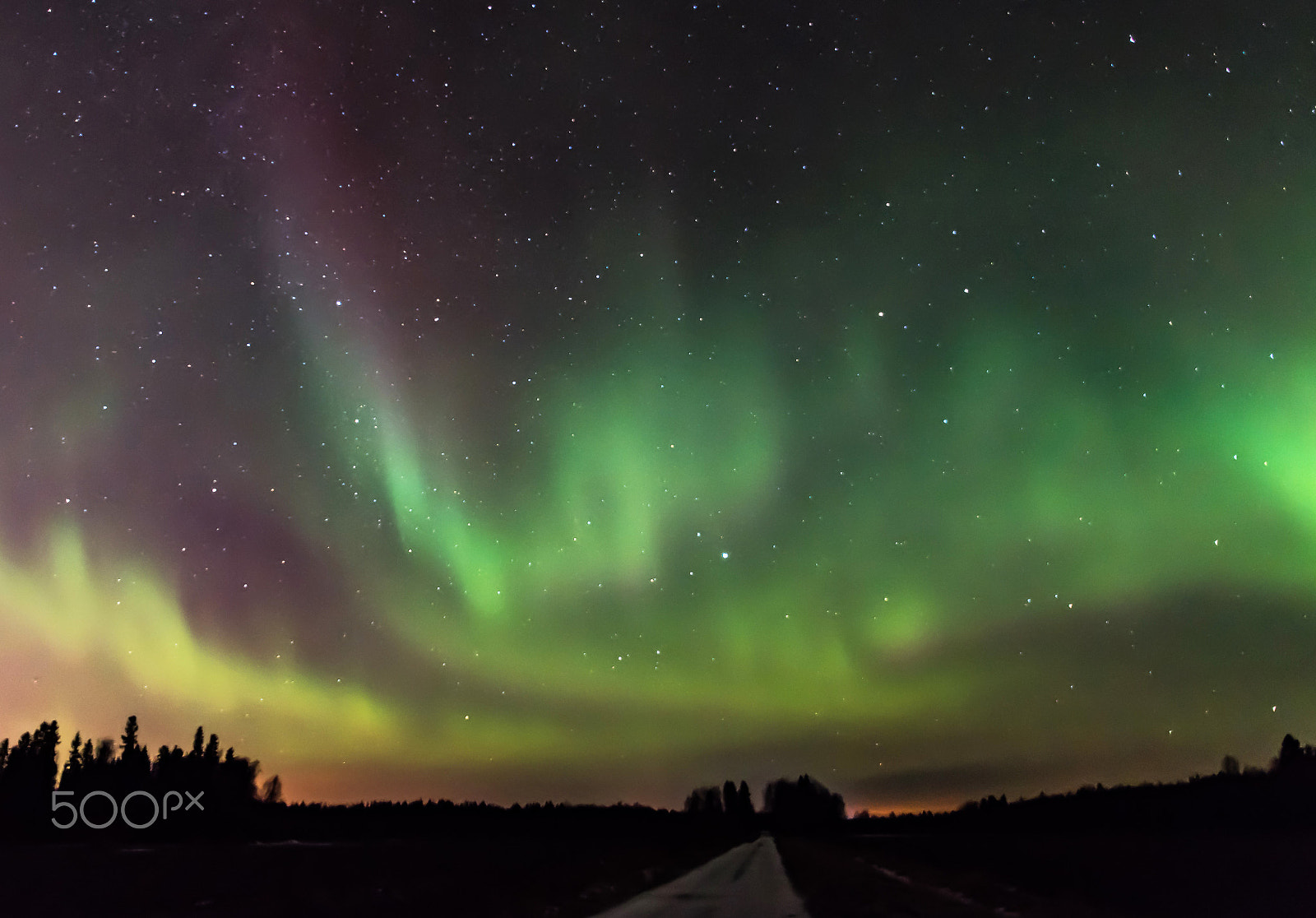 Nikon D5500 sample photo. Northern lights photography