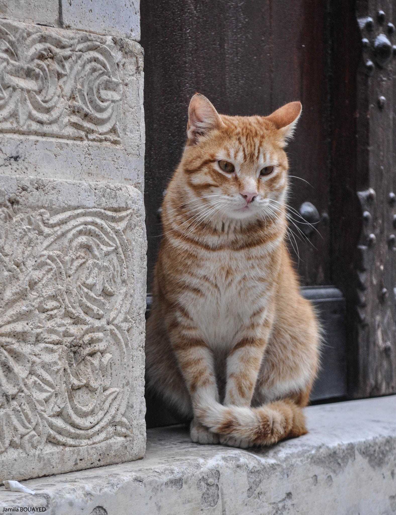Nikon D90 sample photo. Silence photography