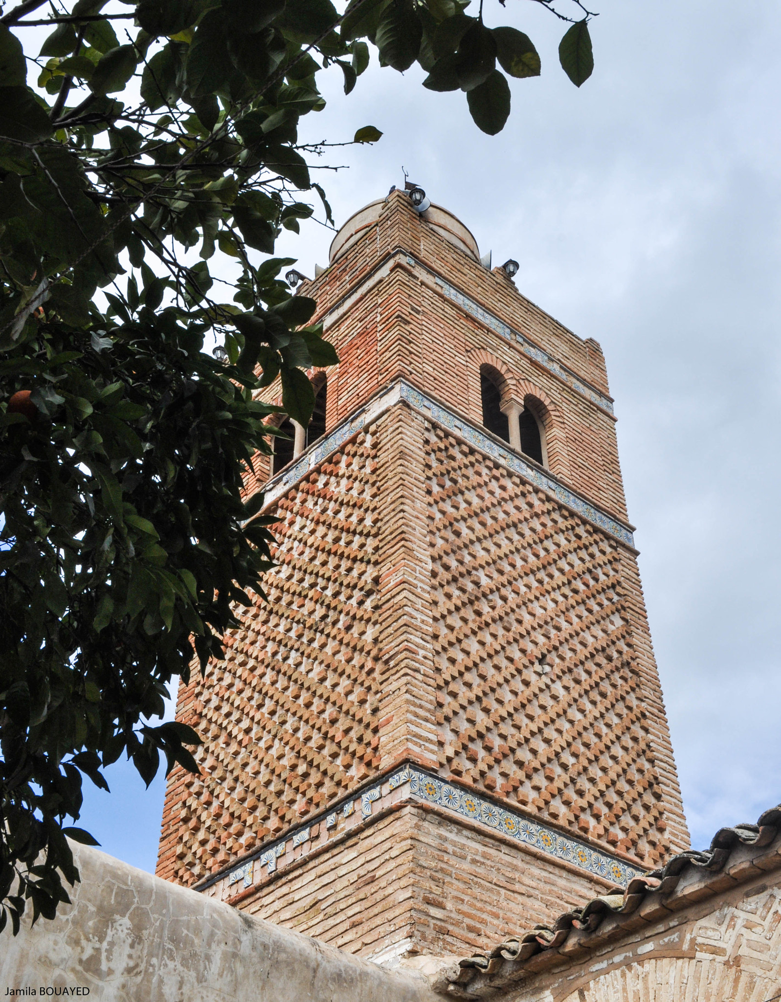 Nikon D90 sample photo. Up! photography