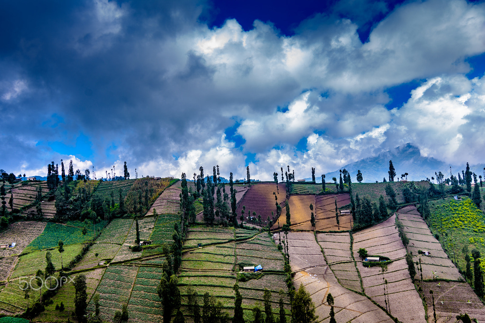 Nikon D7200 sample photo. Bromo fields 2 photography