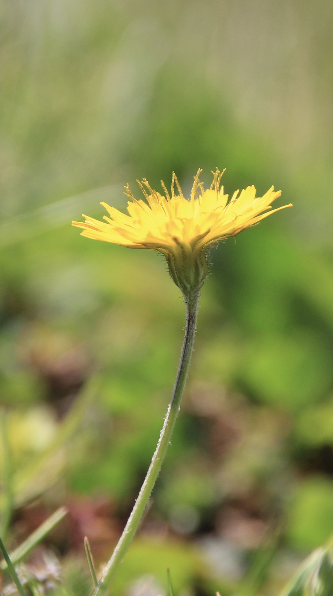Sigma 18-250mm F3.5-6.3 DC OS HSM sample photo