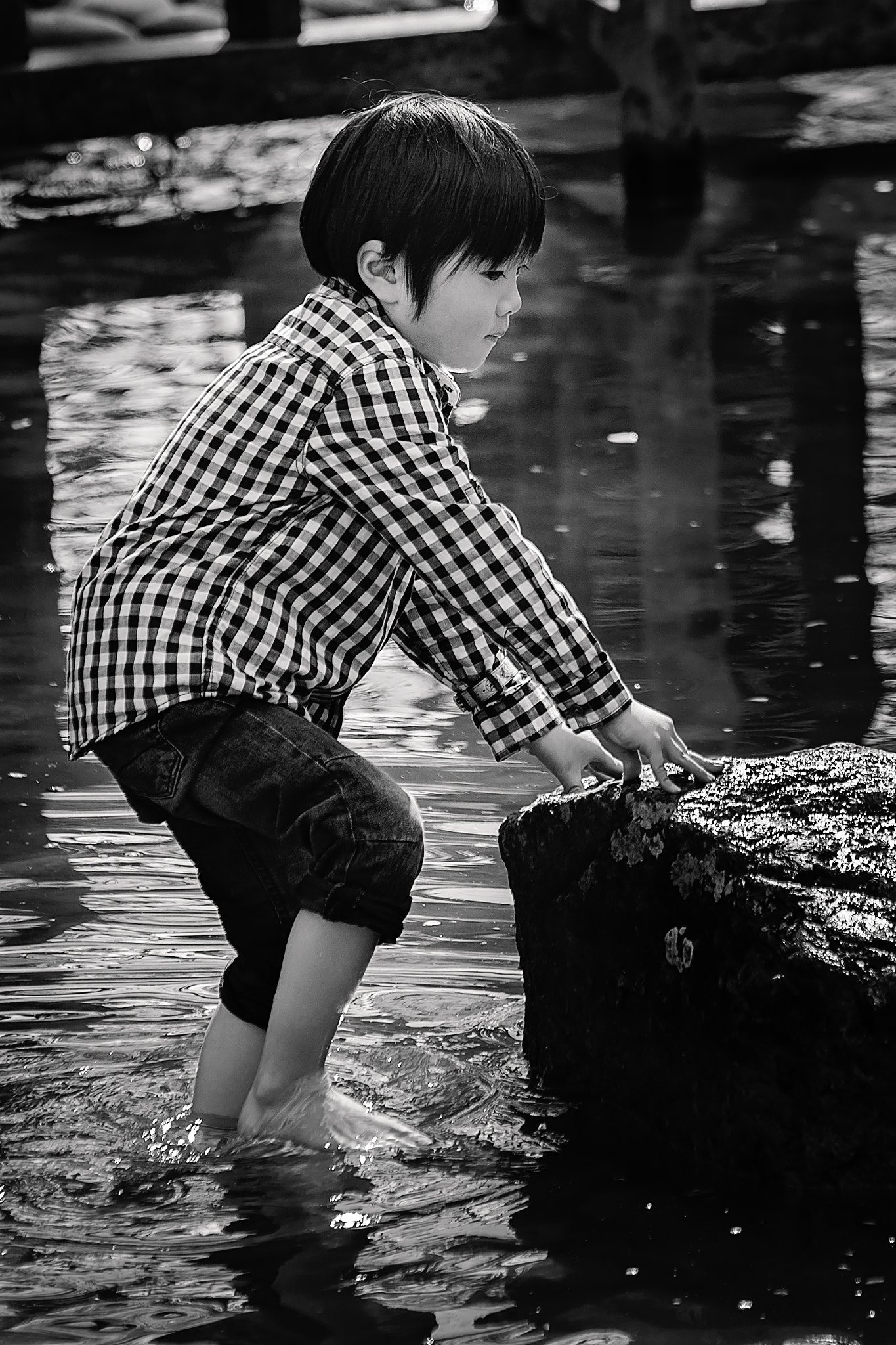 Tamron SP 70-200mm F2.8 Di VC USD sample photo. Ichiro photography