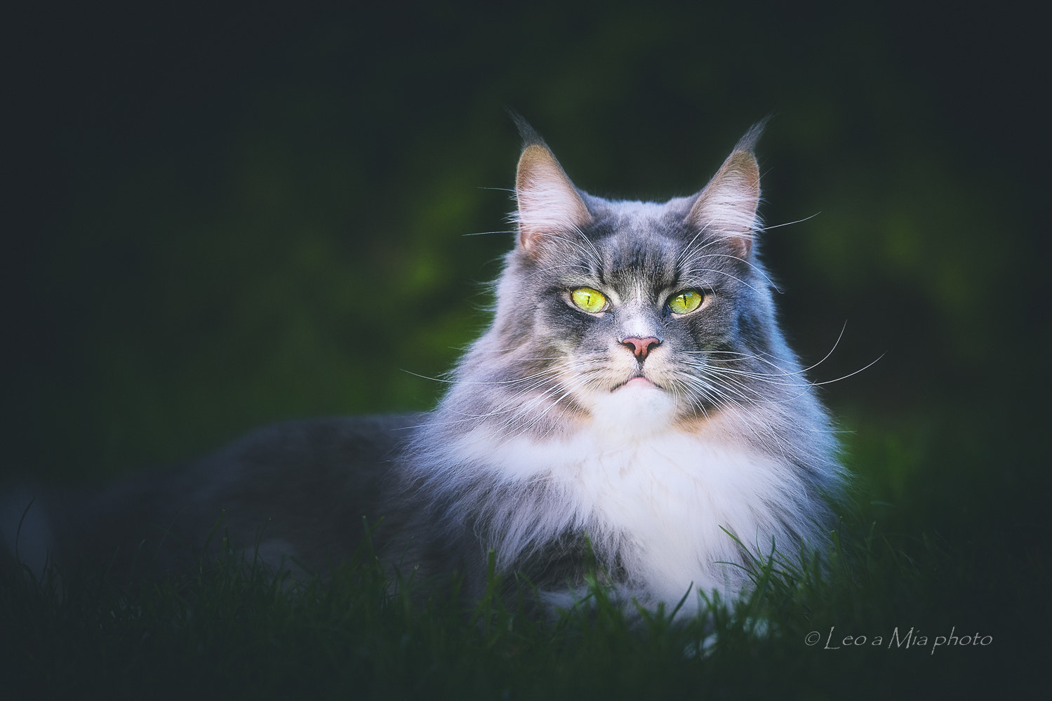 Nikon D7100 sample photo. Mia photography