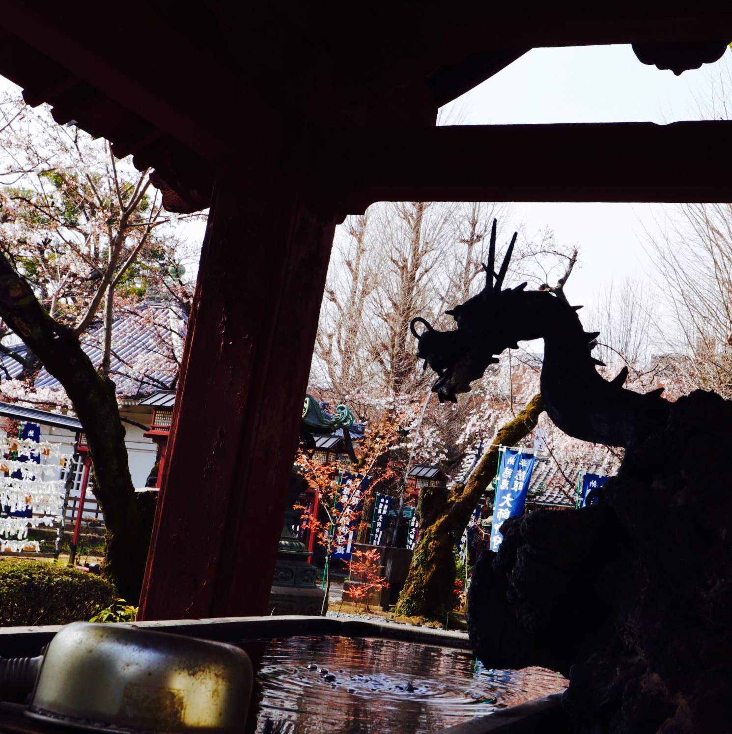 Canon EOS M5 + Canon EF-M 11-22mm F4-5.6 IS STM sample photo. A dragon and cherry tree photography