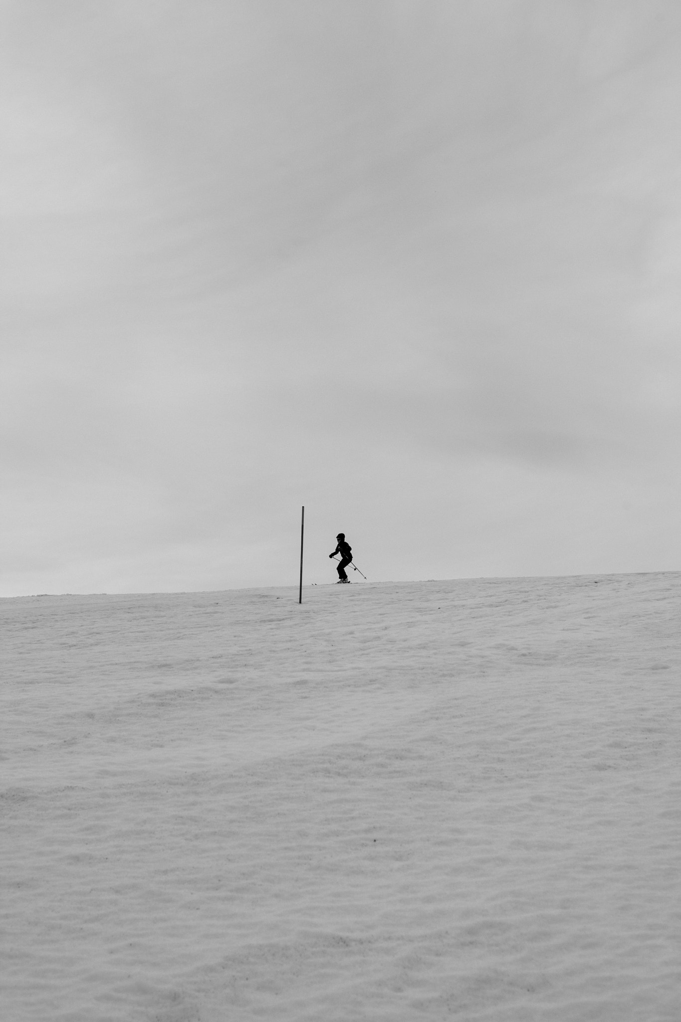 Canon EOS-1D Mark III sample photo. I ski alone photography