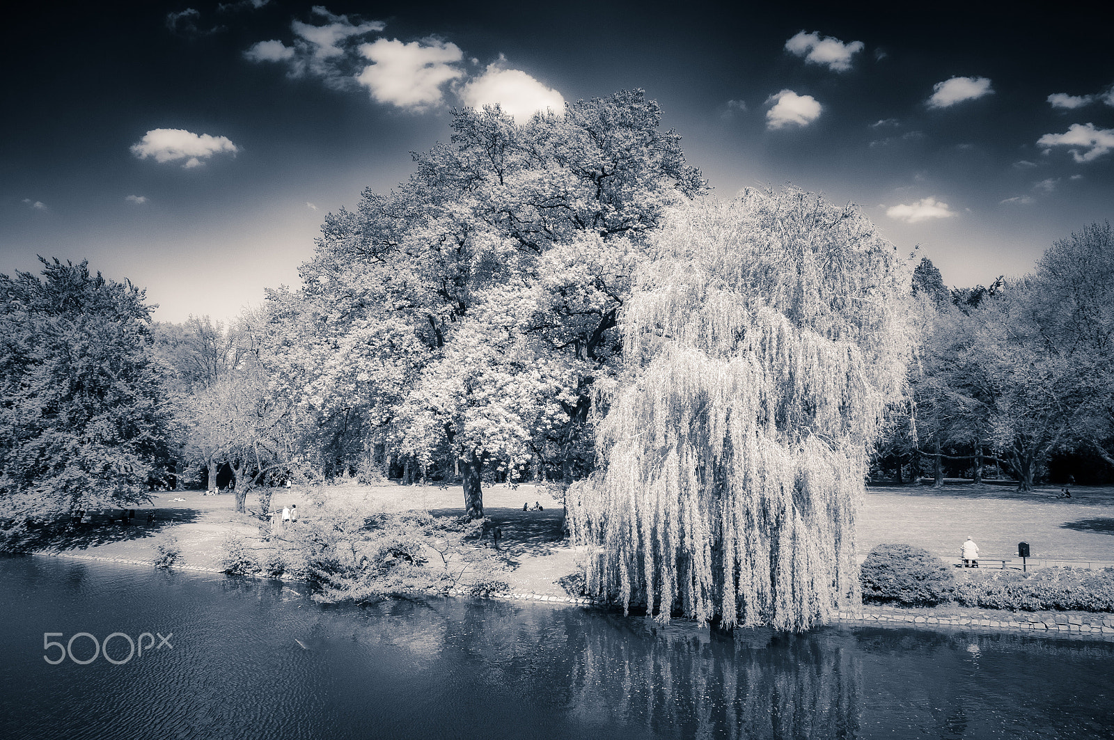 Nikon D5000 sample photo. Schloßpark ahaus photography