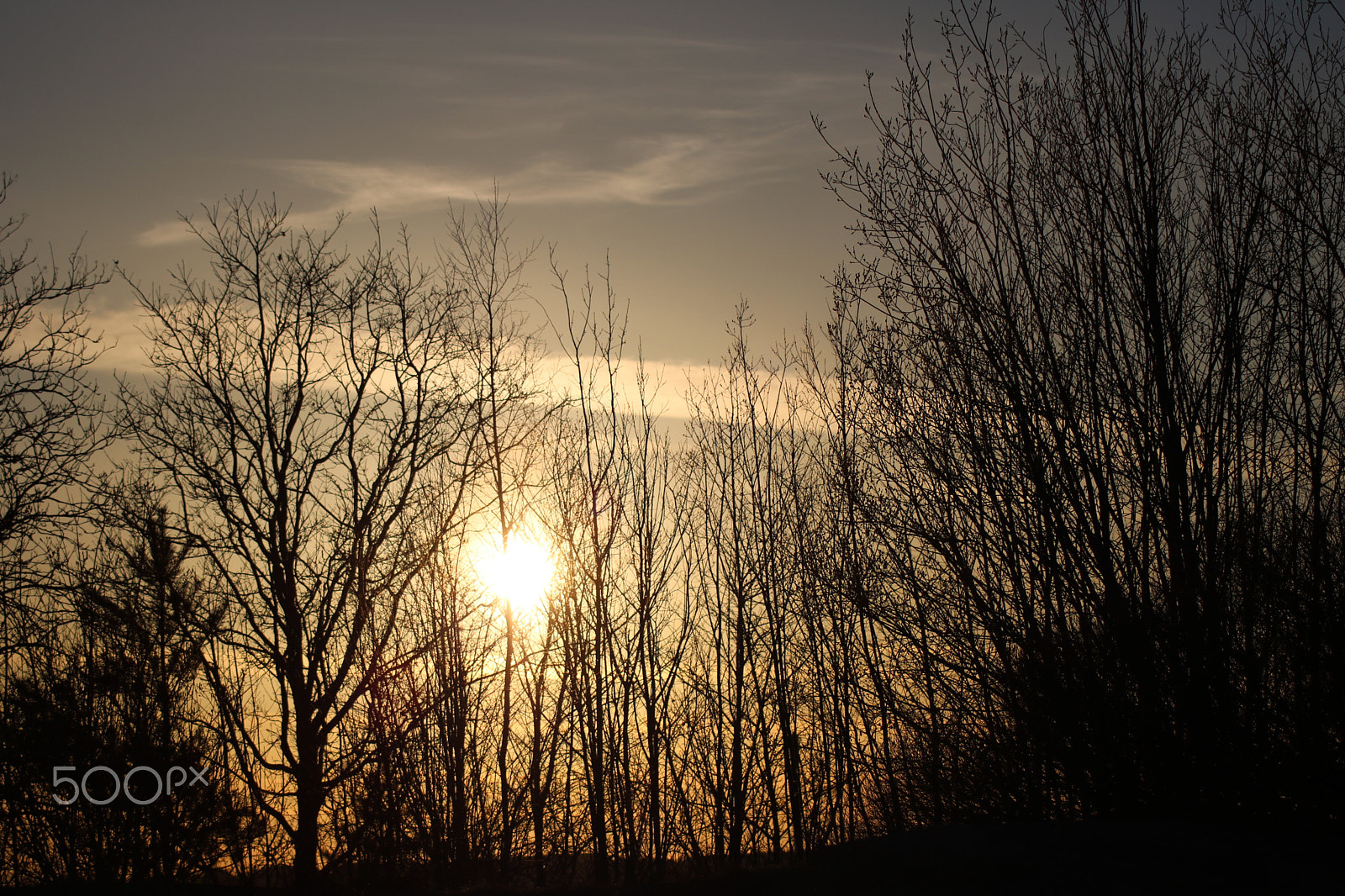 Canon EOS 750D (EOS Rebel T6i / EOS Kiss X8i) sample photo. Spring evening in sweden photography