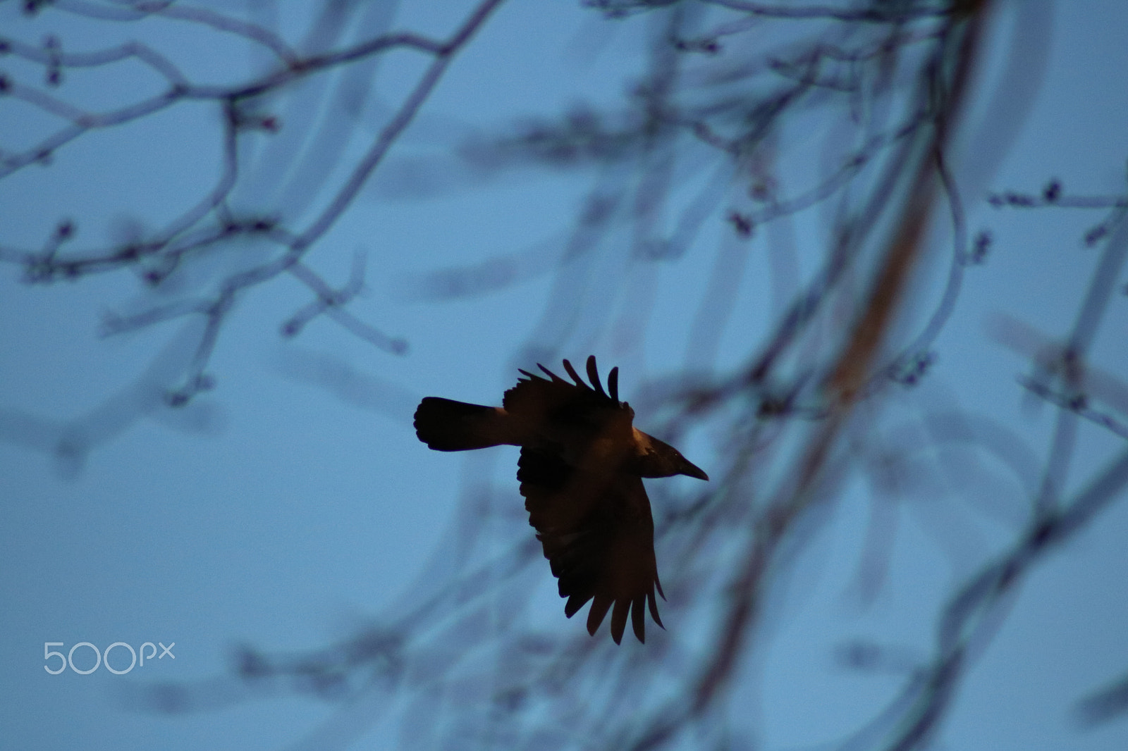 Canon EOS 750D (EOS Rebel T6i / EOS Kiss X8i) sample photo. Spring evening in sweden photography