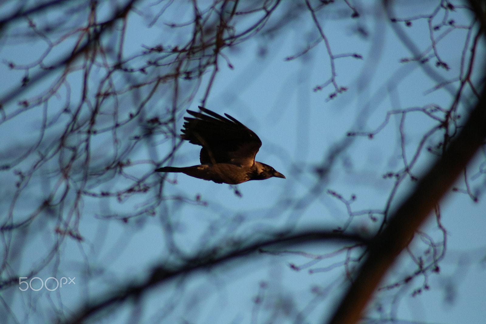 Canon EOS 750D (EOS Rebel T6i / EOS Kiss X8i) sample photo. Spring evening in sweden photography
