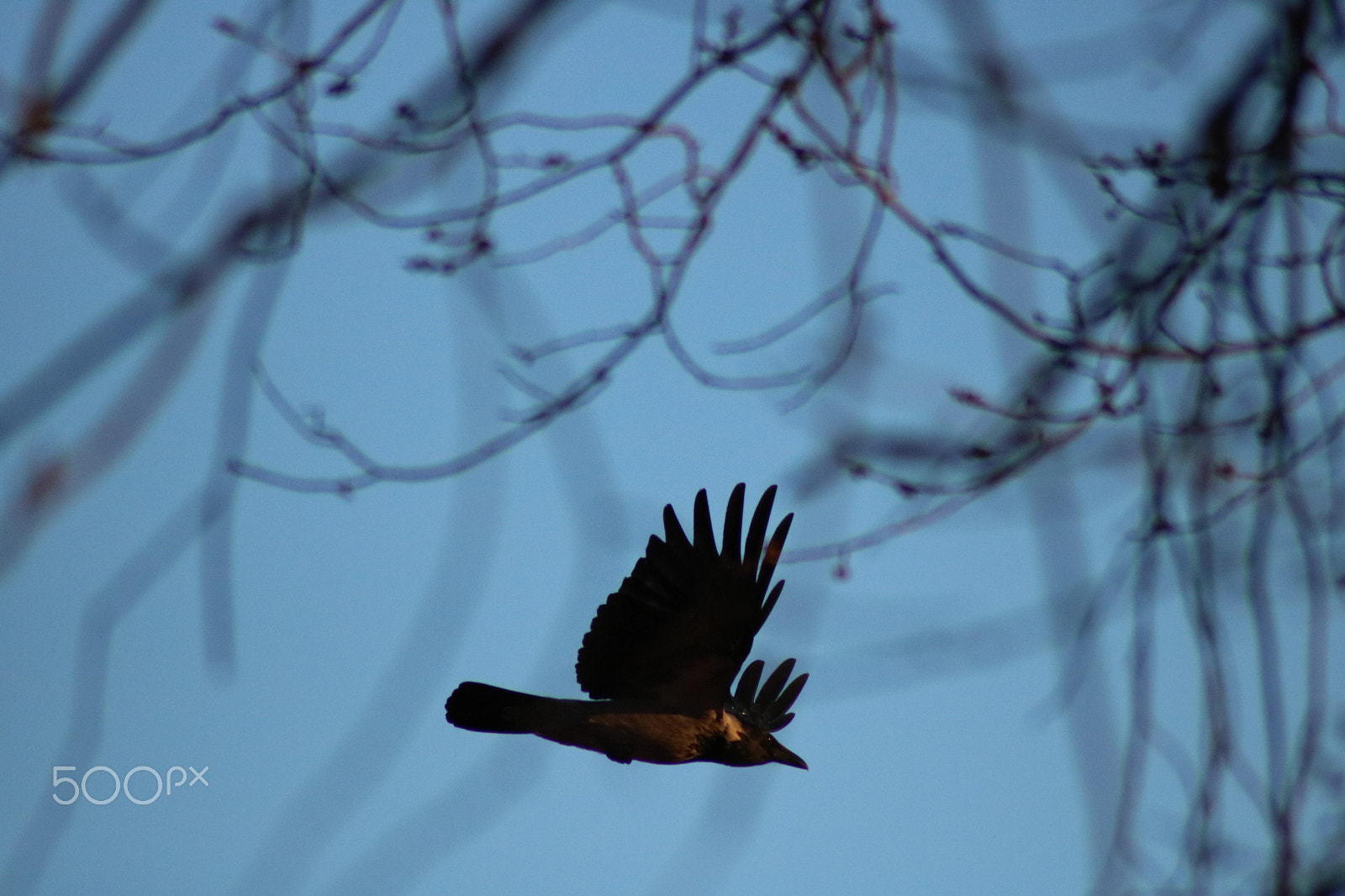 Canon EOS 750D (EOS Rebel T6i / EOS Kiss X8i) sample photo. Spring evening in sweden photography