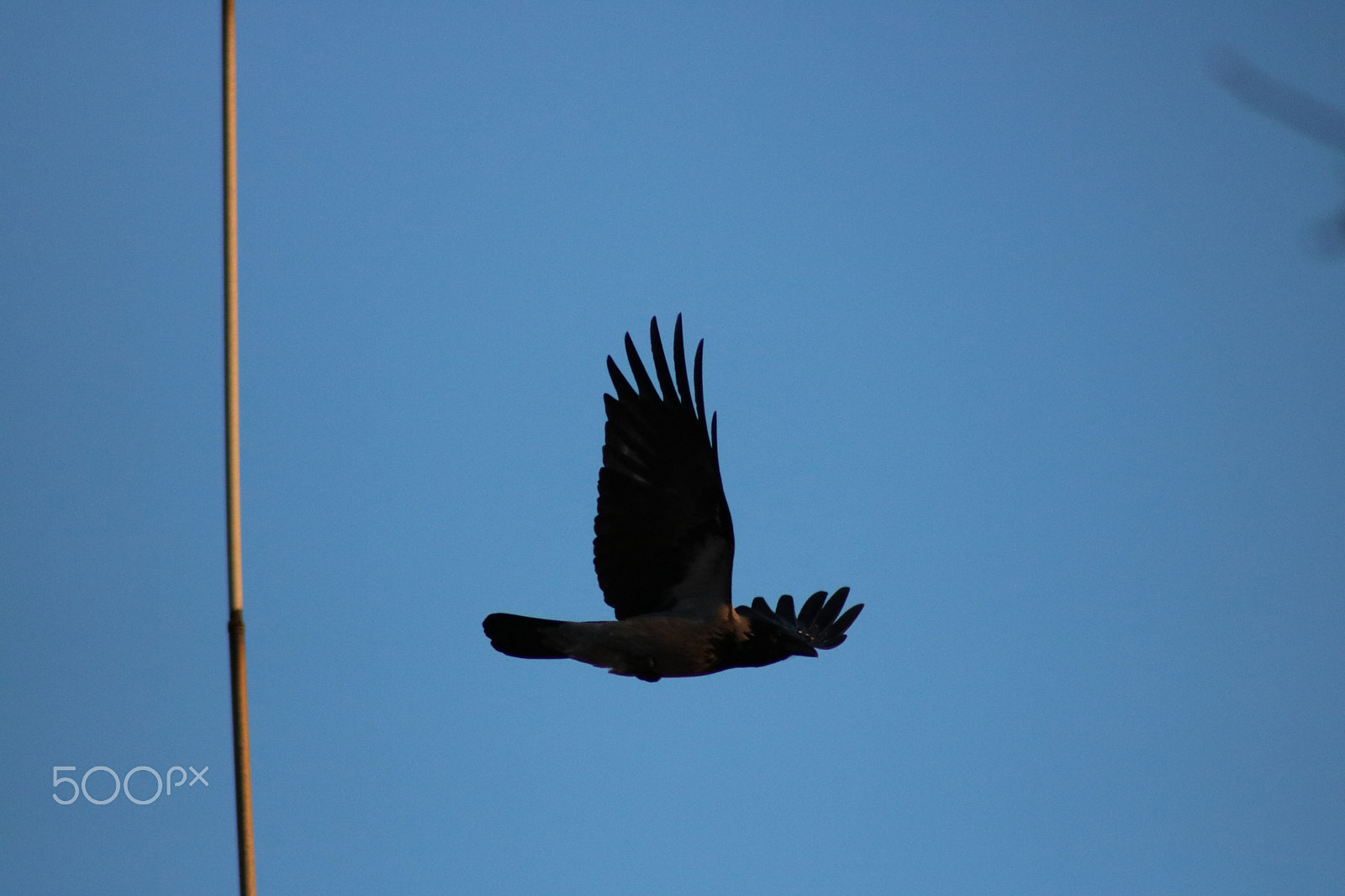 Canon EOS 750D (EOS Rebel T6i / EOS Kiss X8i) sample photo. Spring evening in sweden photography