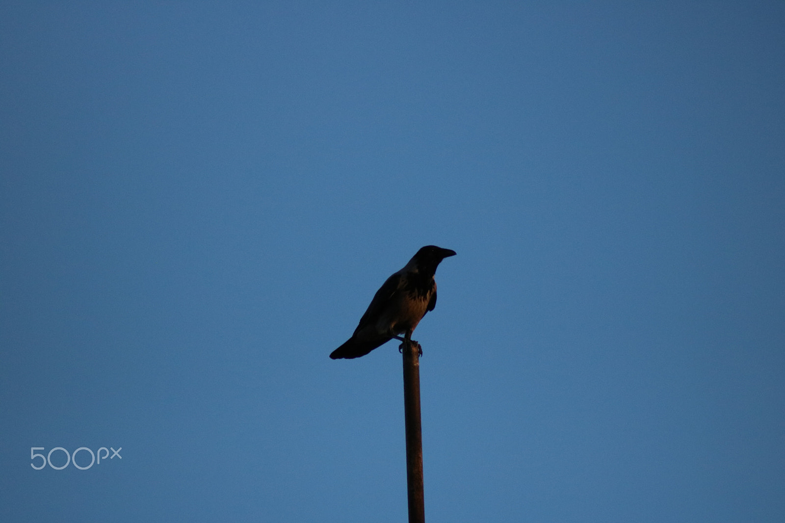 Canon EOS 750D (EOS Rebel T6i / EOS Kiss X8i) sample photo. Spring evening in sweden photography