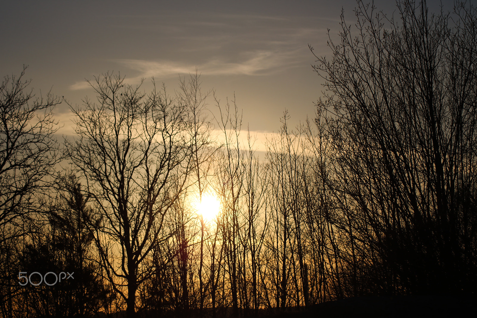 Canon EOS 750D (EOS Rebel T6i / EOS Kiss X8i) sample photo. Spring evening in sweden photography
