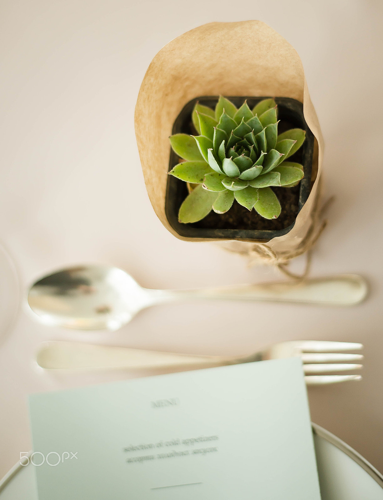 Nikon D610 + Nikon AF Nikkor 50mm F1.8D sample photo. Laying photography