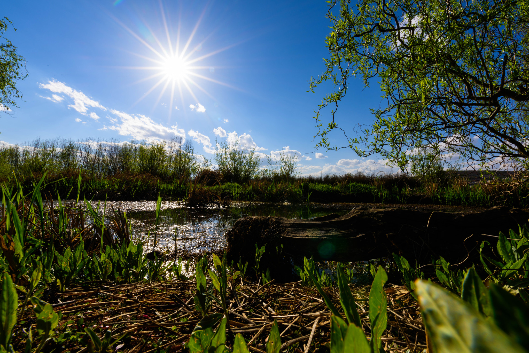 Nikon D810 + Tamron SP 15-30mm F2.8 Di VC USD sample photo. Dsc photography