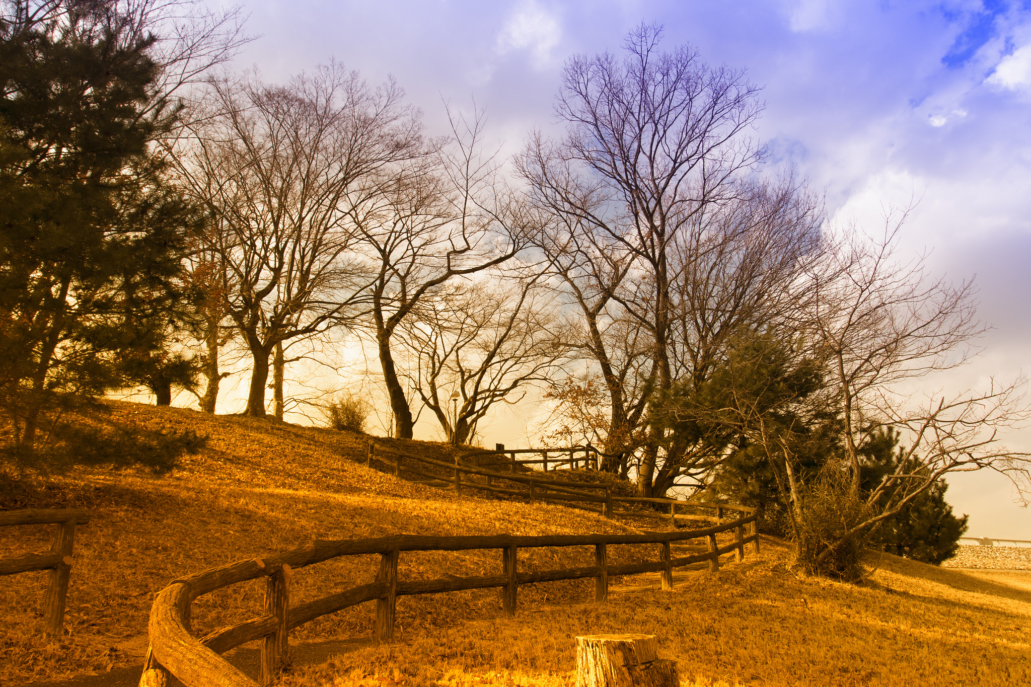 Canon EOS 70D + Canon EF 17-40mm F4L USM sample photo. Sunset photography