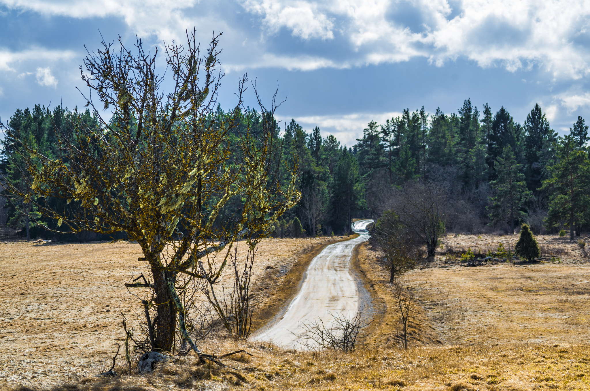 Pentax K-30 sample photo. Time photography