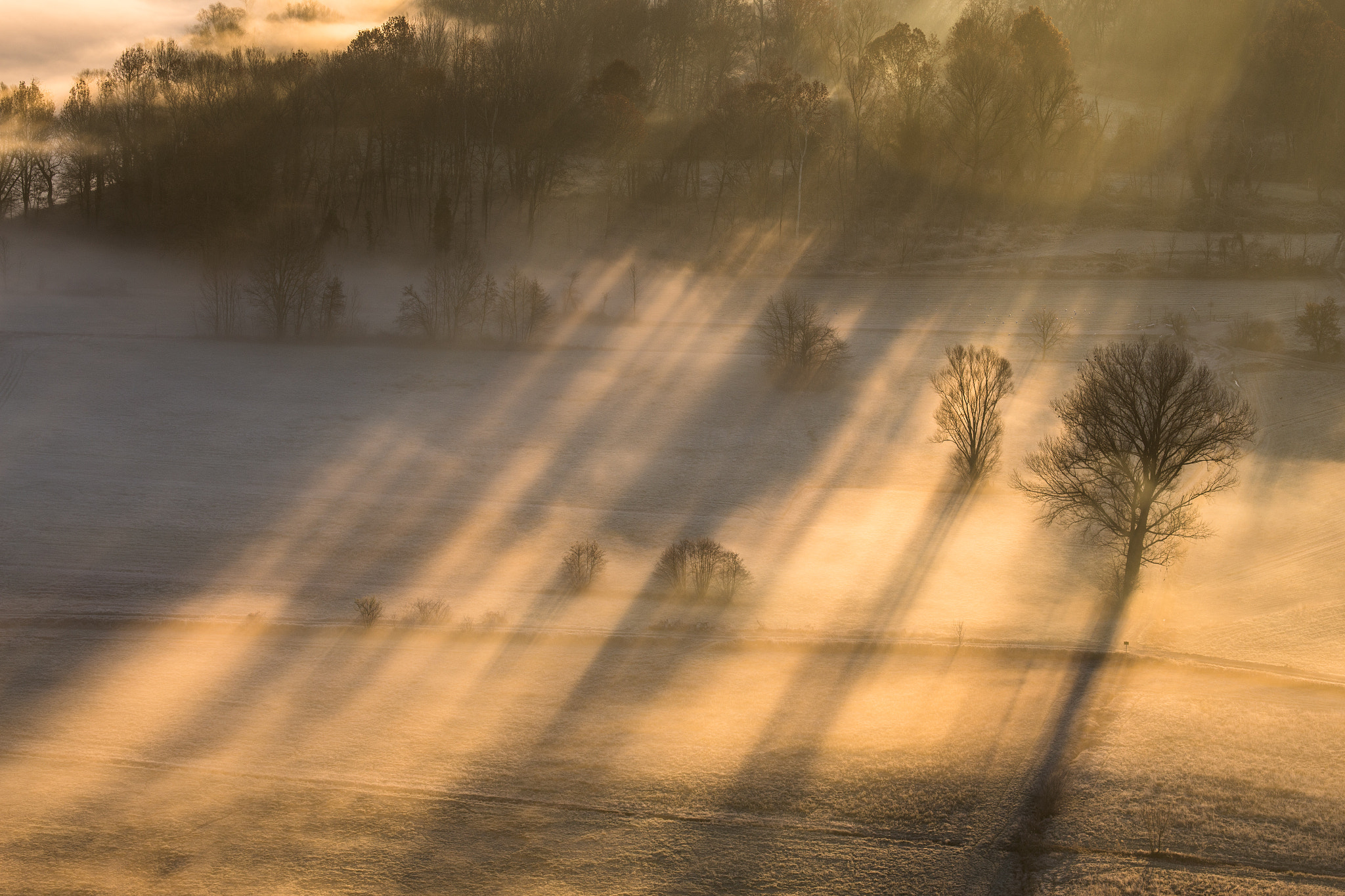 Canon EOS 6D + Canon EF 100-400mm F4.5-5.6L IS USM sample photo. Foggy shadows photography