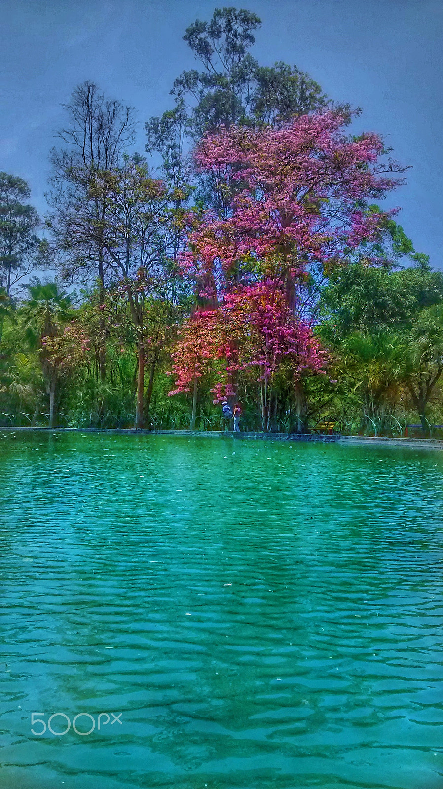Motorola XT1032 sample photo. A day out on the lake. photography