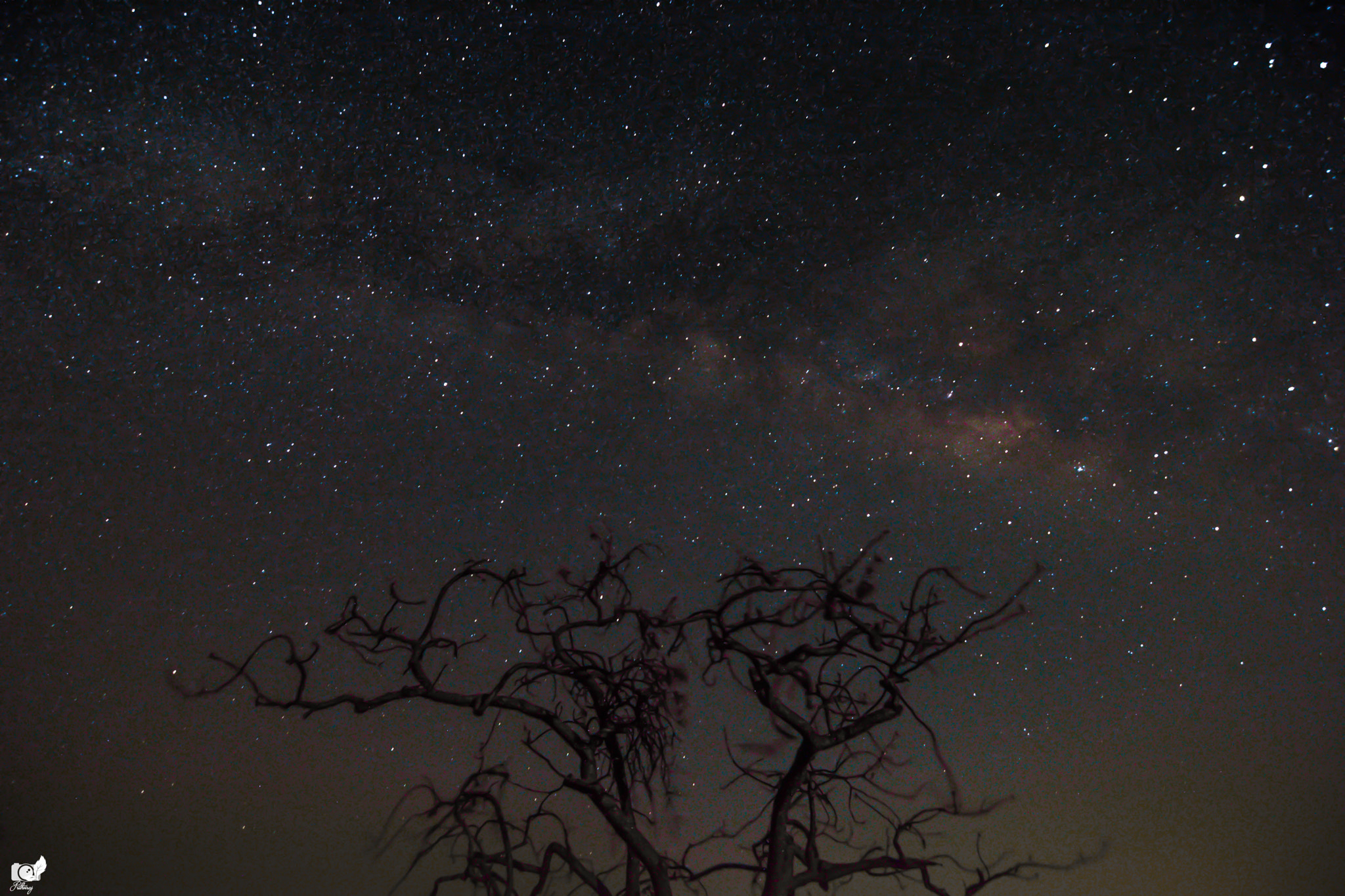Nikon D7100 sample photo. Alone but surrounded photography